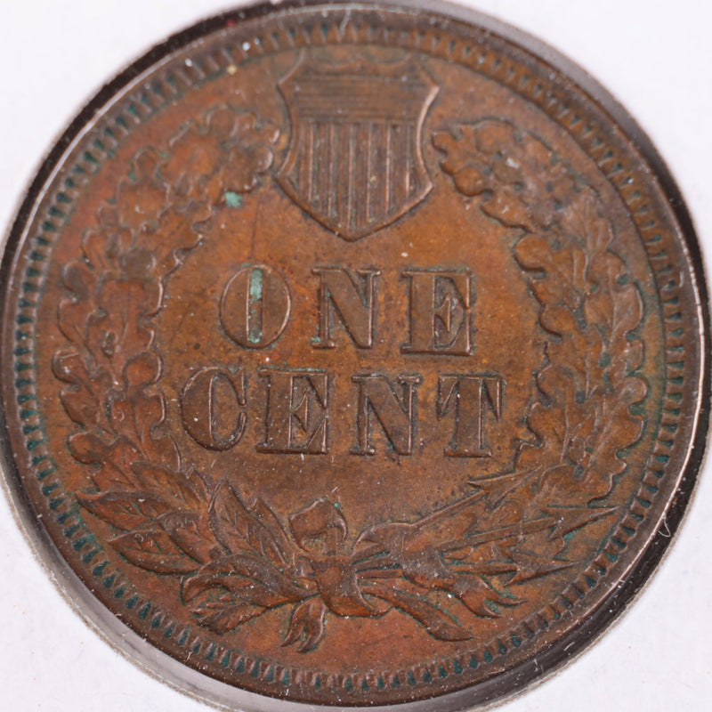 1902 Indian Head Cent, Extra Fine+ Circulated Coin, Store