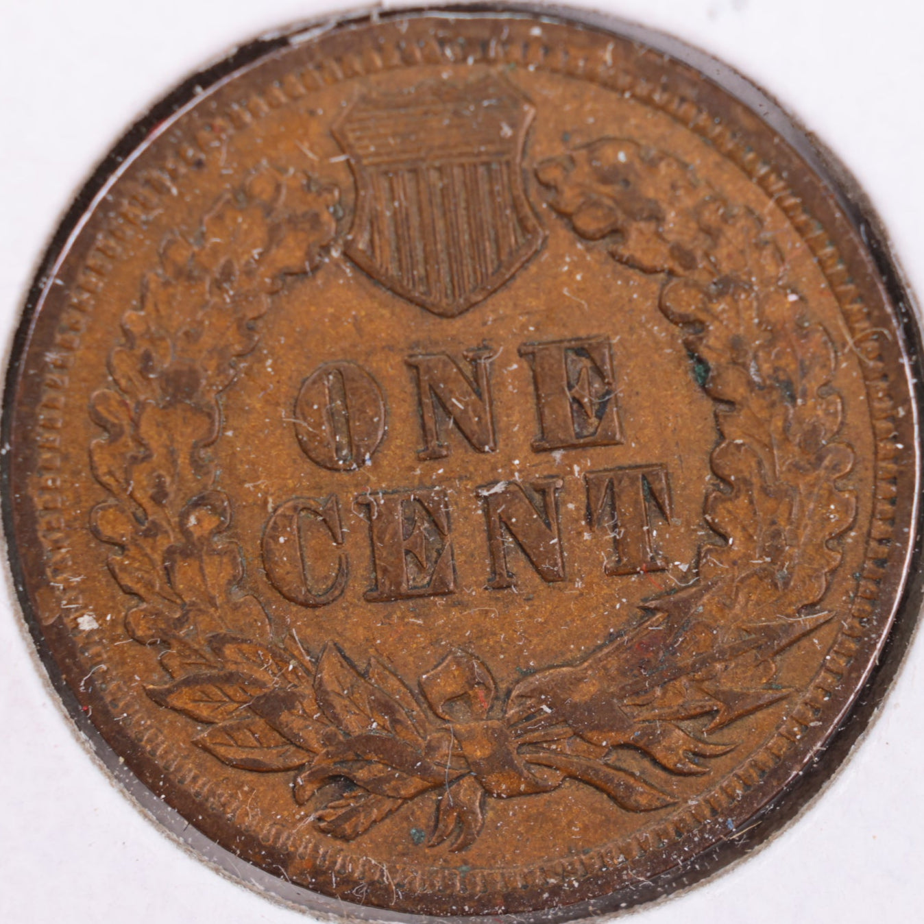 1903 Indian Head Cent, Extra Fine Circulated Coin, Store #CT0400