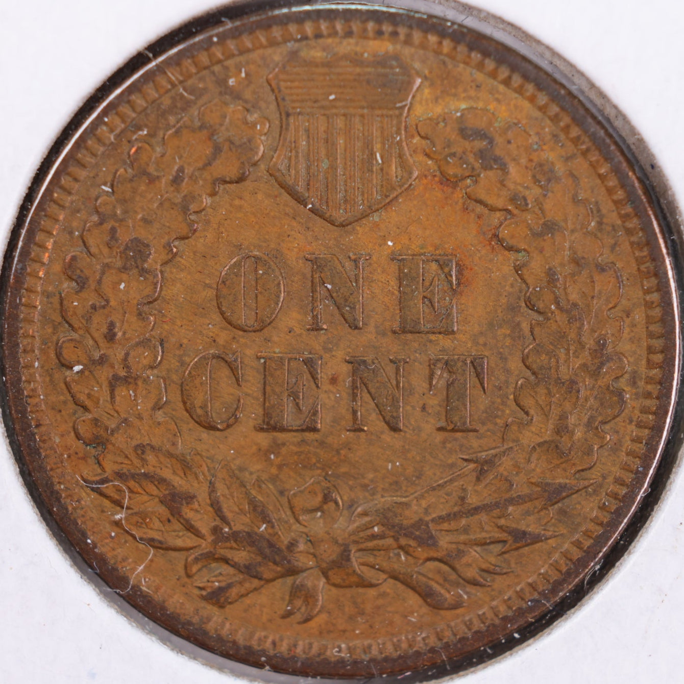 1909 Indian Head Cent, Extra Fine Circulated Coin, Store #CT0419