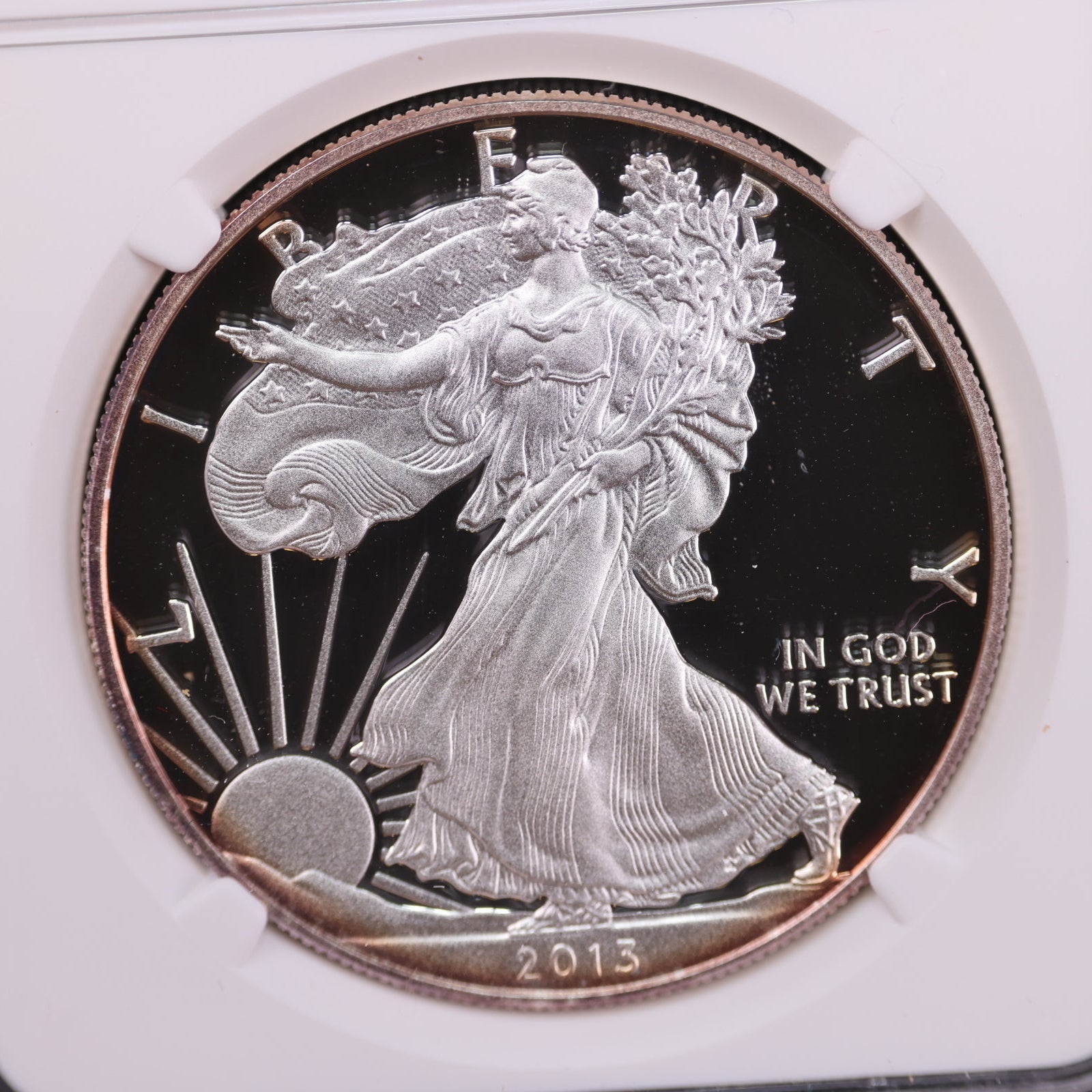 2013-W American Silver Eagle, Proof Strike, NGC Certified, Store #23082381