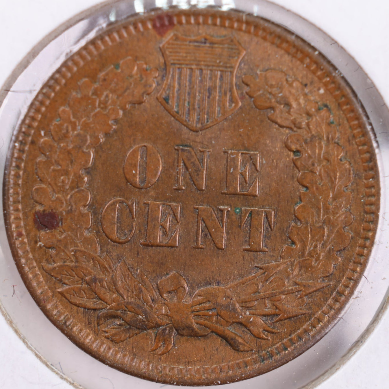 1908 Indian Head Cent, Mint State Uncirculated Coin, Store #CT0428