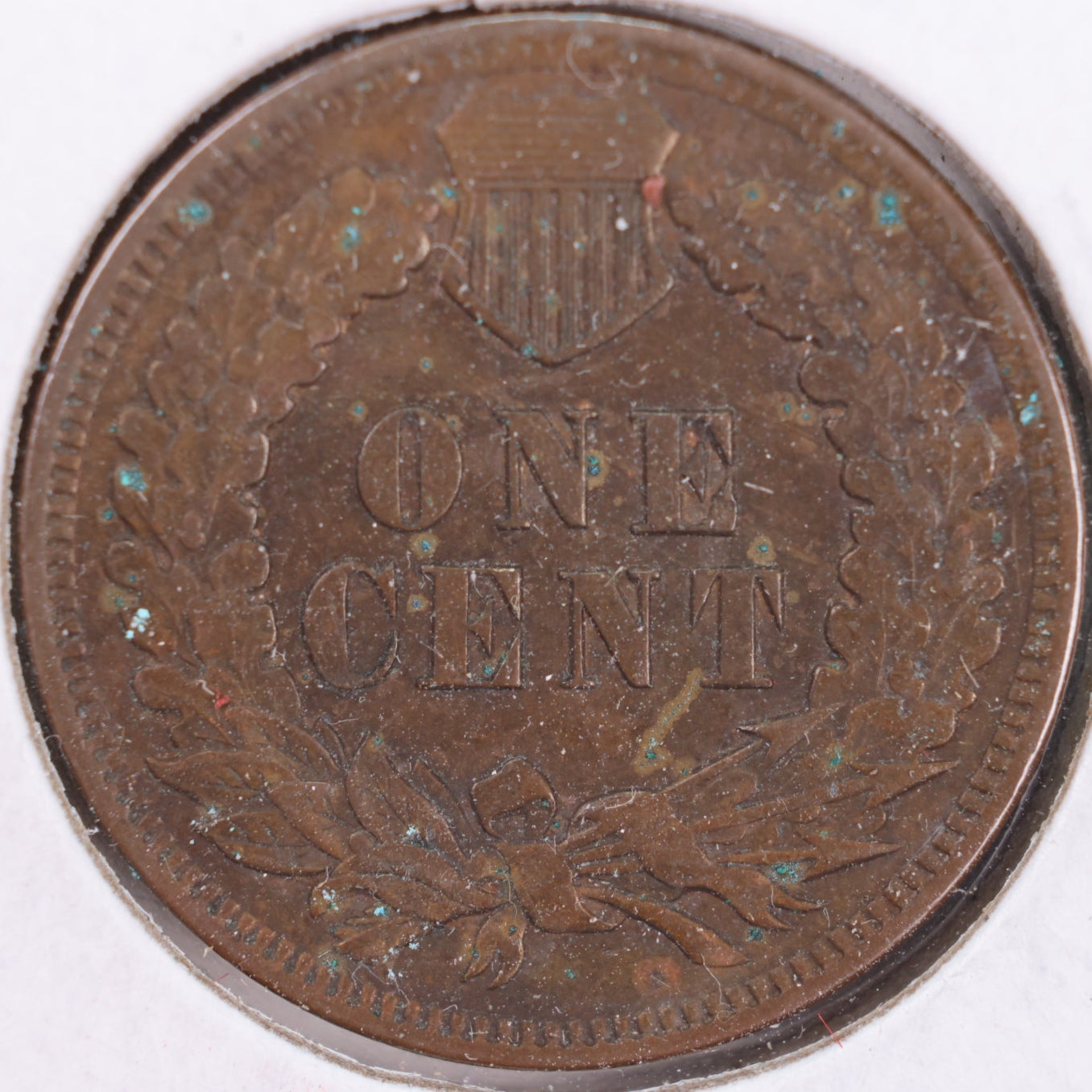 1902 Indian Head Cent, Extra Fine Circulated Coin, Store #CT0453