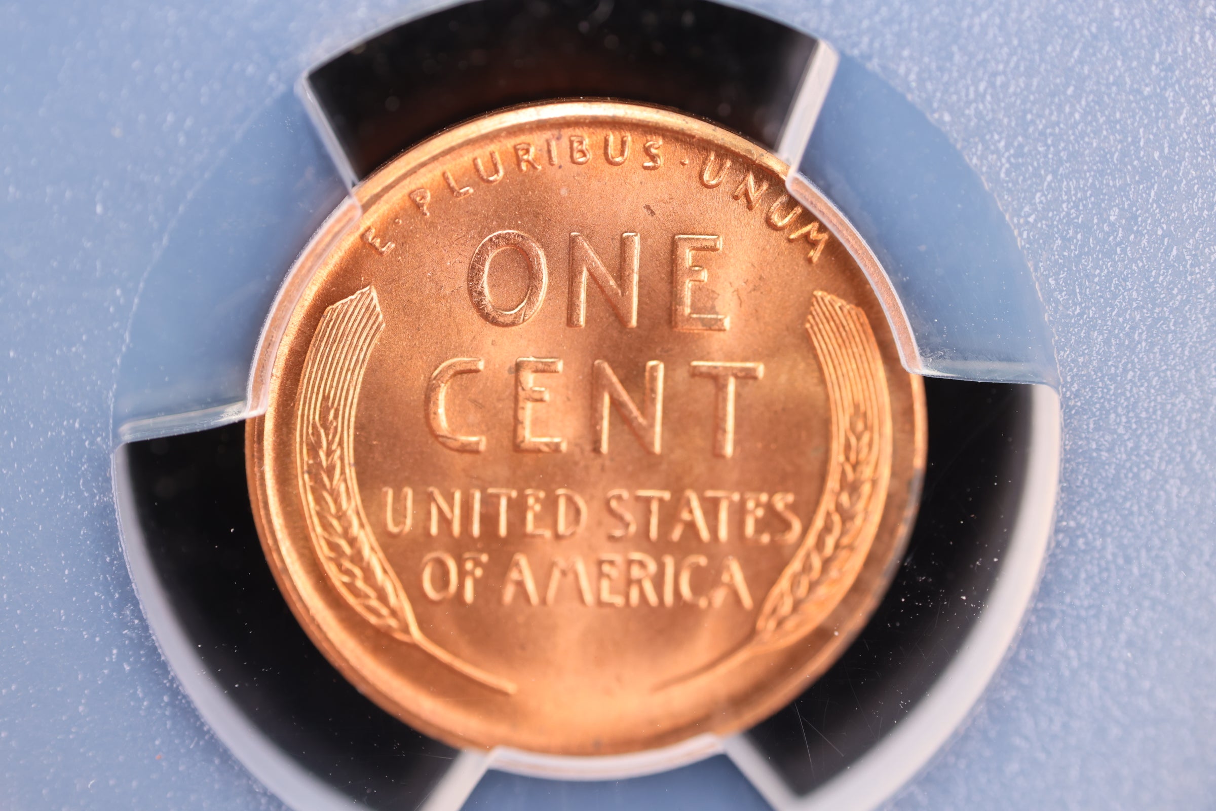 1950-D Lincoln Wheat Cent, PCGS MS67, Affordable Collectible Coin. Store #23091121