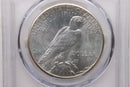 1926 $1, Peace Silver Dollar, PCGS Certified MS-63, Store Sale