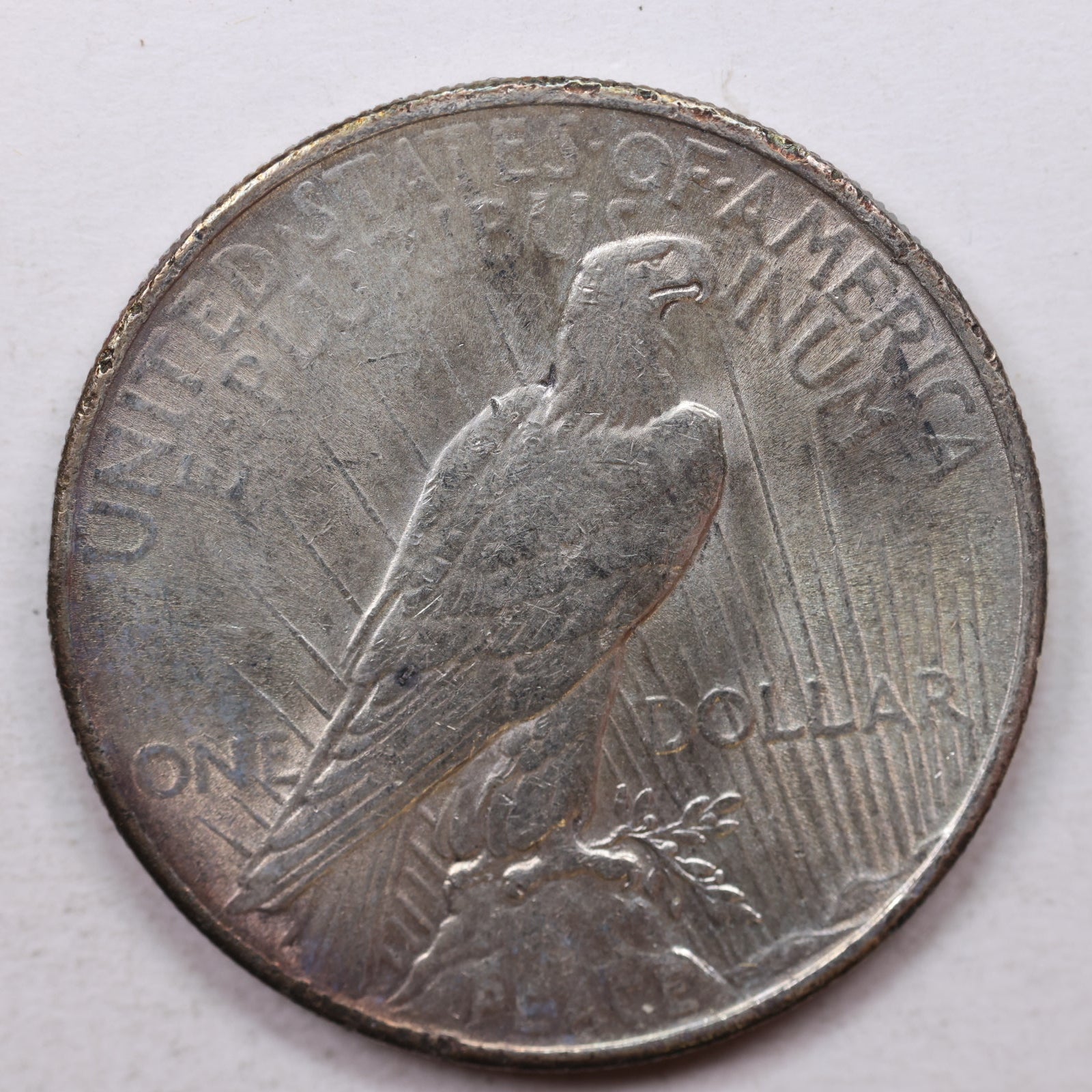 1924 Peace Silver Dollar, Uncirculated Condition, Mint State, Store Sale #DR0014.