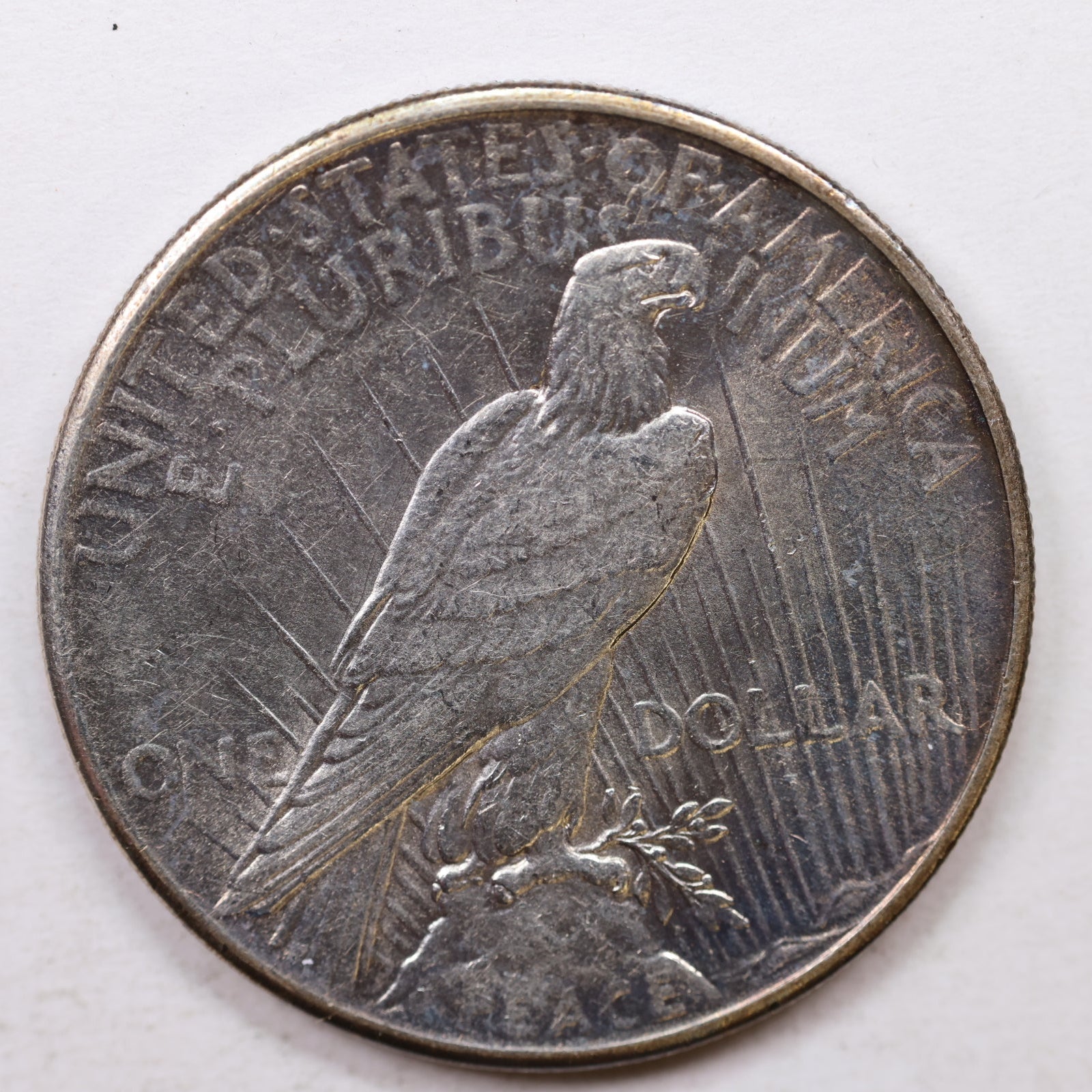 1925 Peace Silver Dollar, Uncirculated Condition, Mint State, Store Sale #DR0020.