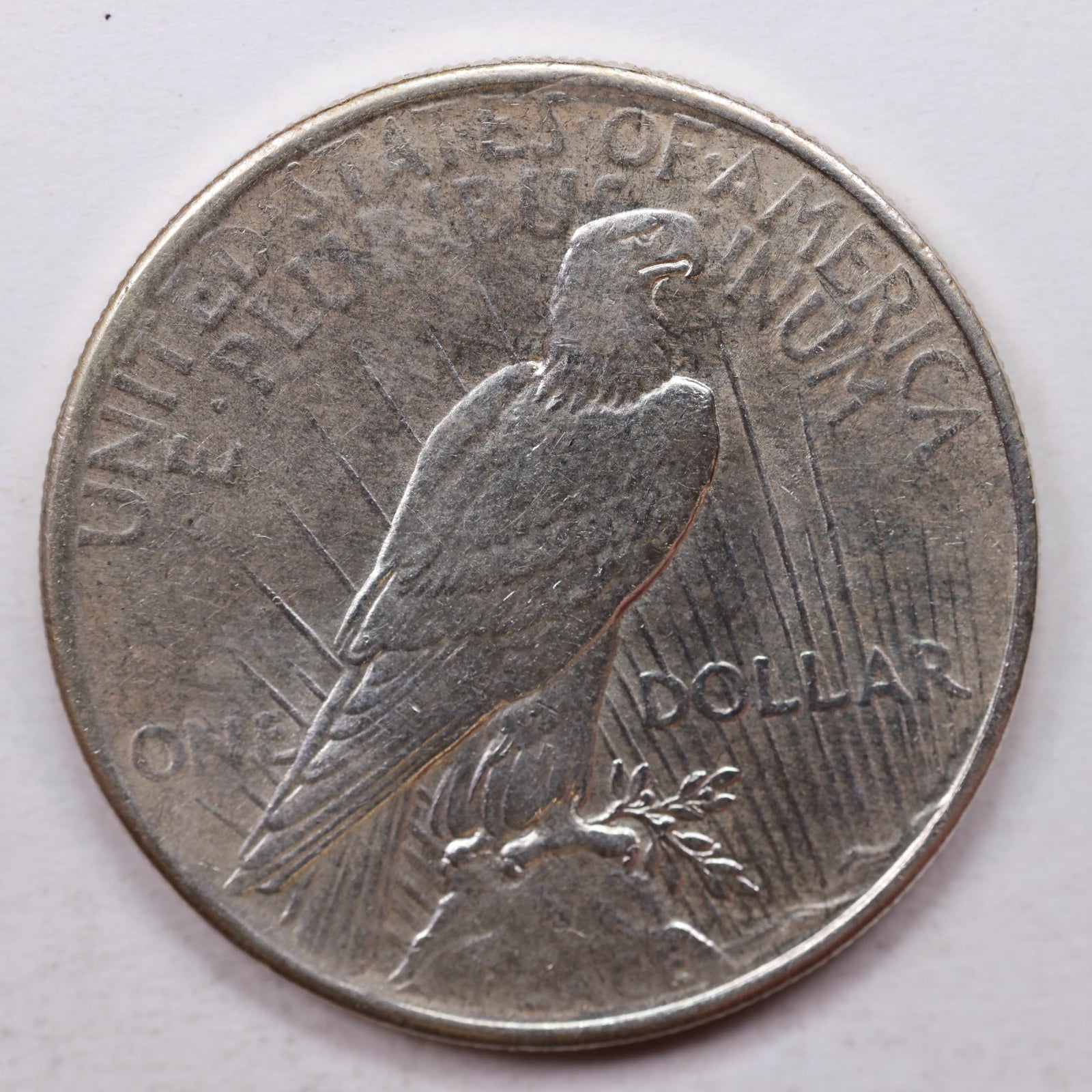 1925 Peace Silver Dollar, Uncirculated Condition, Mint State, Store Sale #DR0021.