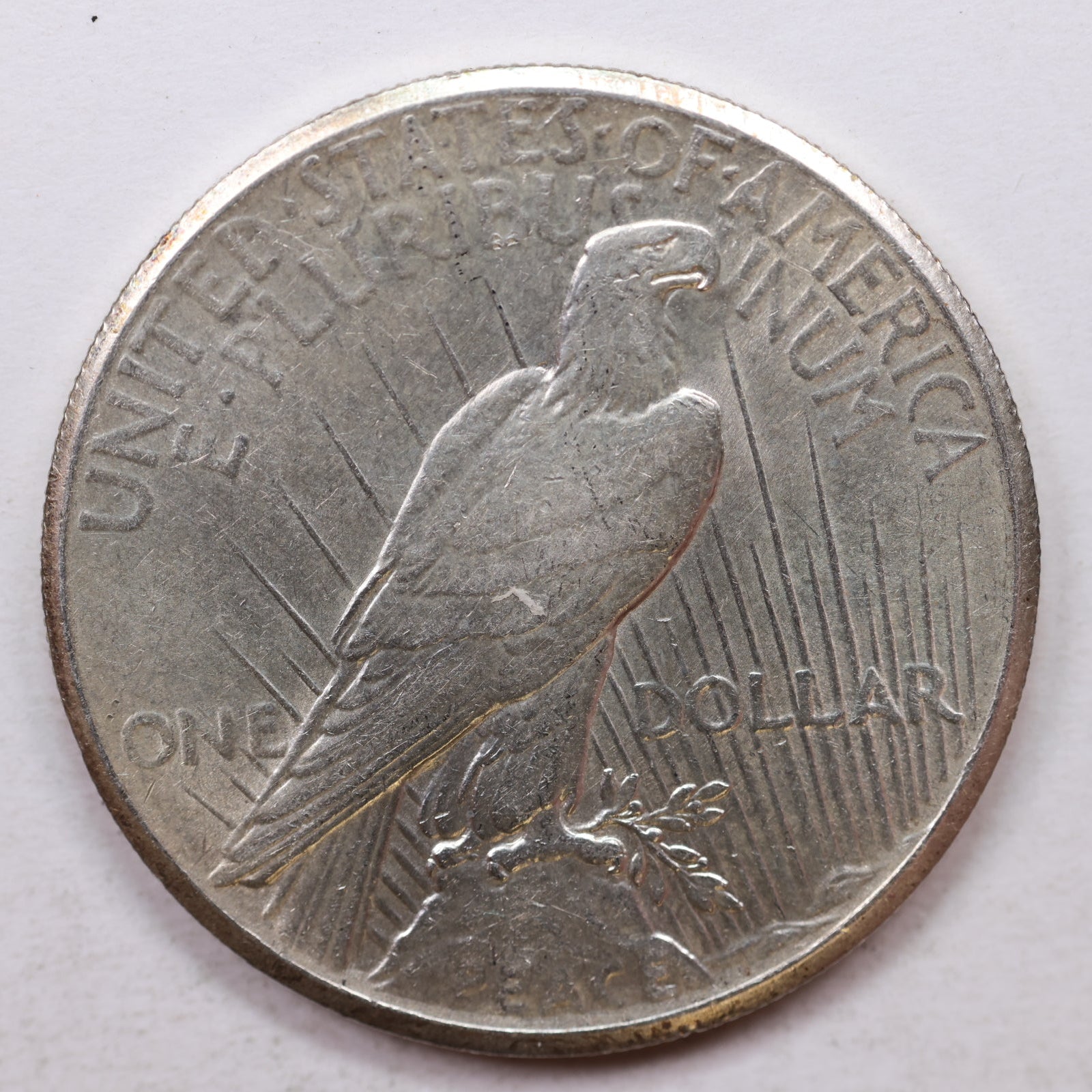 1926 Peace Dollar, Mint State Uncirculated Coin, Store #DR0022