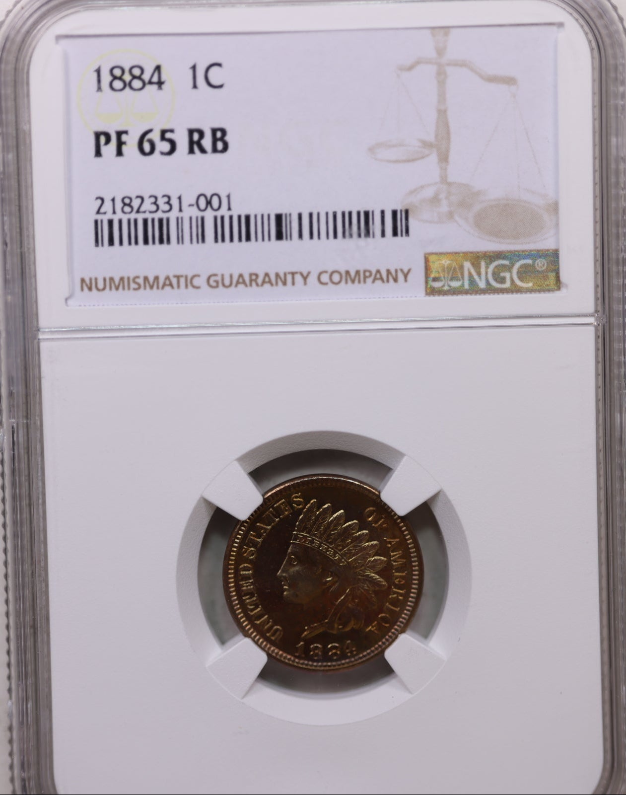 1884 Indian Head Cent, Gem NGC Proof-65, R/B, Uncirculated Coin, Store #CT0007.