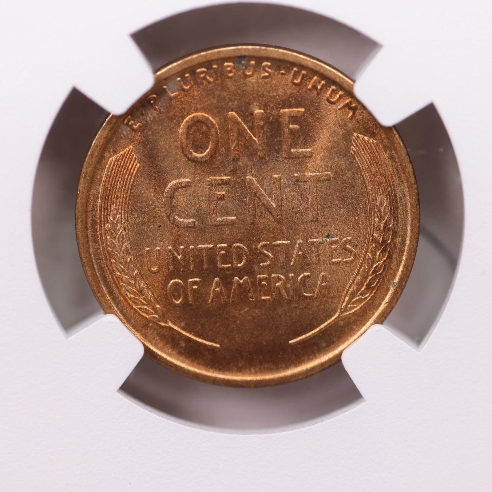 1909-S/S Lincoln Wheat Cent, S over Horizontal S, NGC MS-65, Store #GCT0001.
