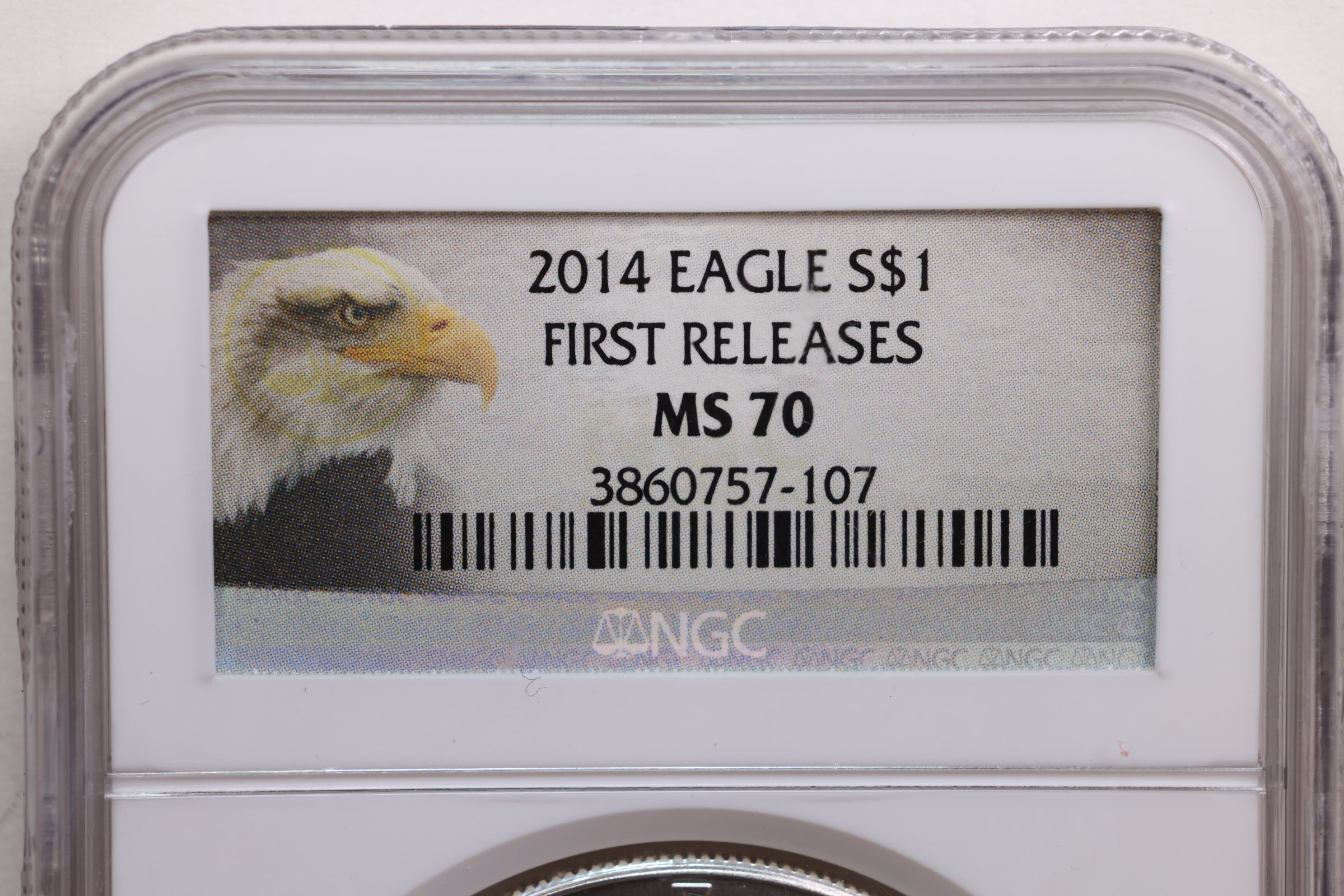 2014 American Silver Eagle, Business Strike, NGC MS-70, Store #AE0198
