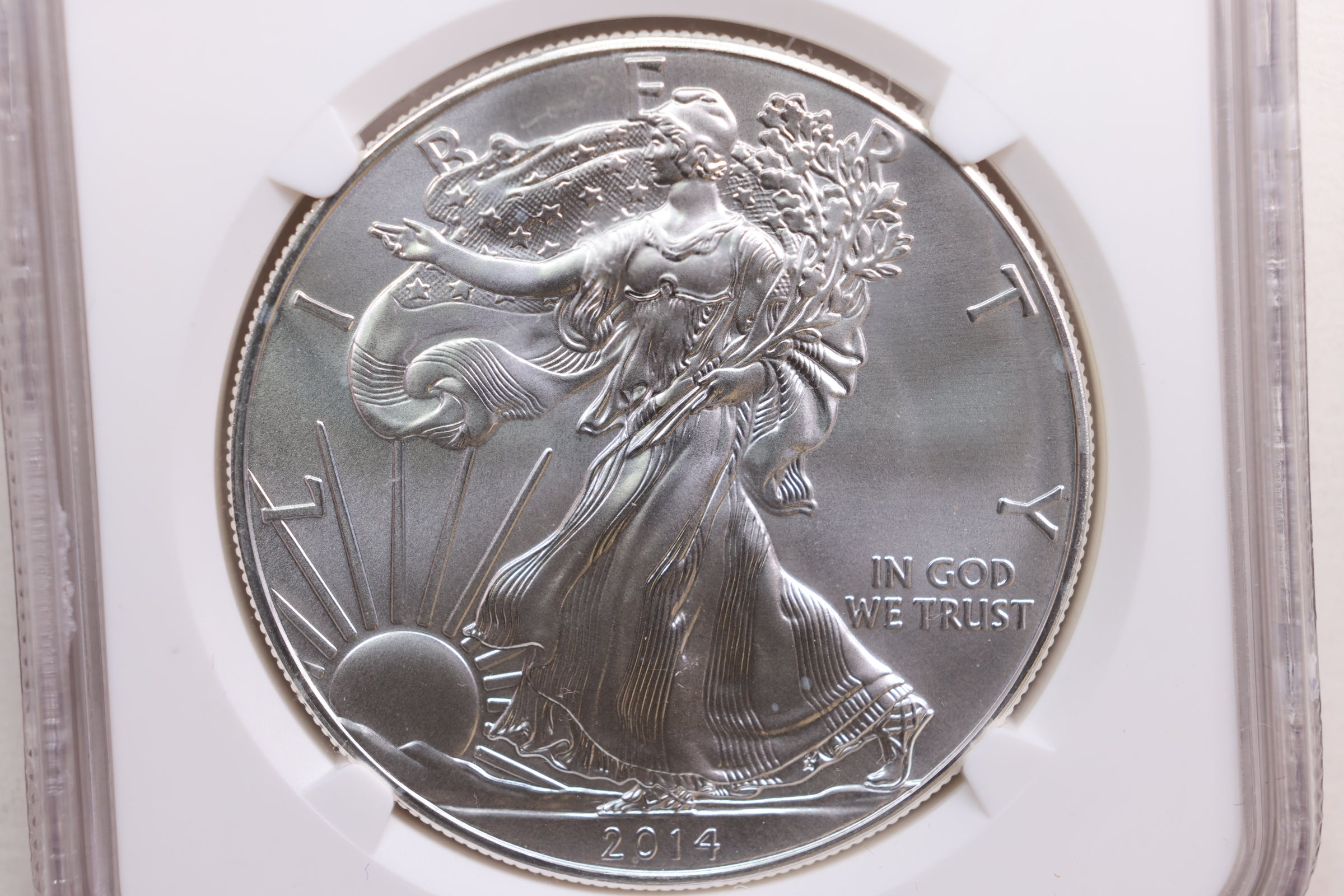 2014 American Silver Eagle, Business Strike, NGC MS-70, Store #AE0198