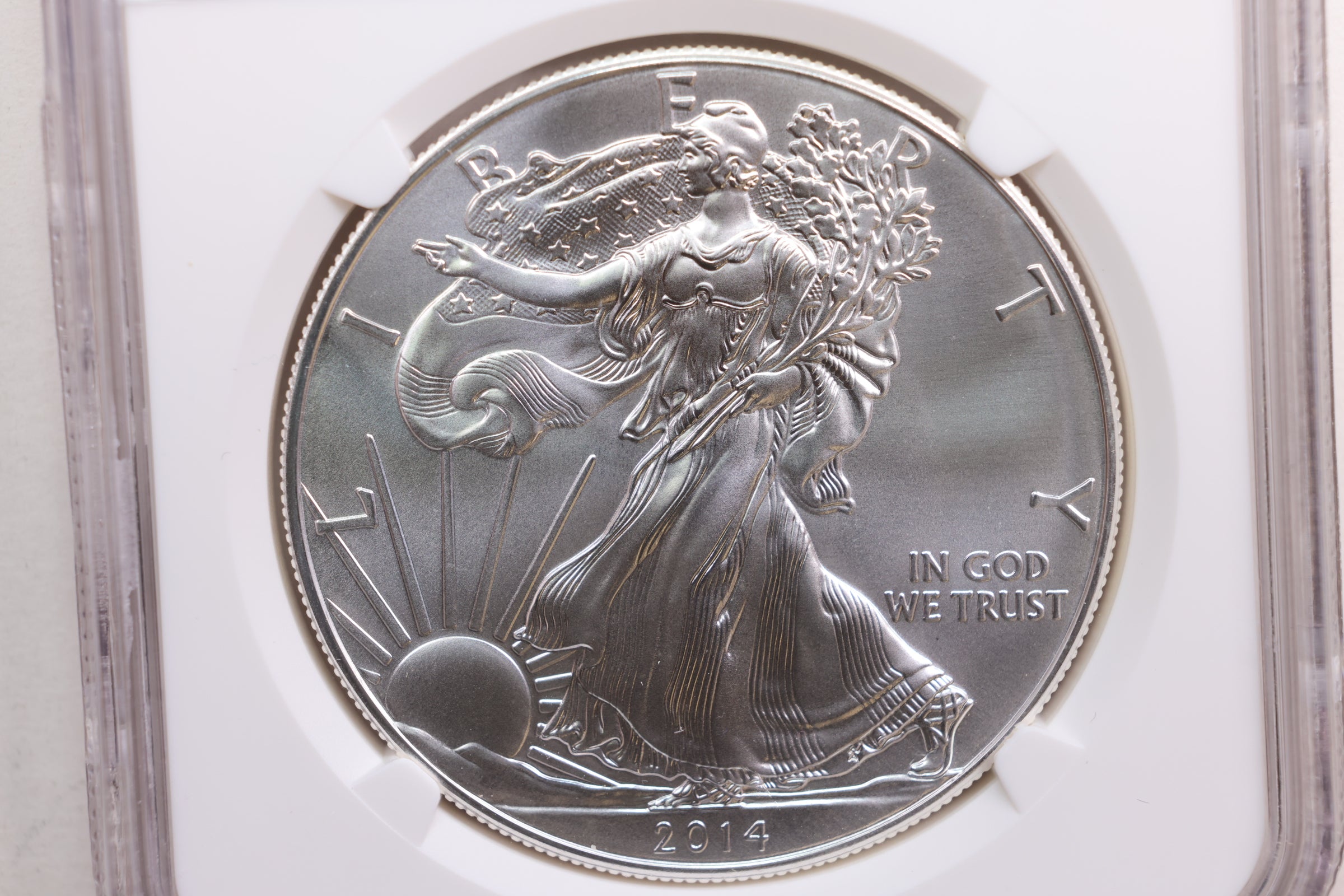 2014 American Silver Eagle, Business Strike, NGC MS-70, Store #AE0199