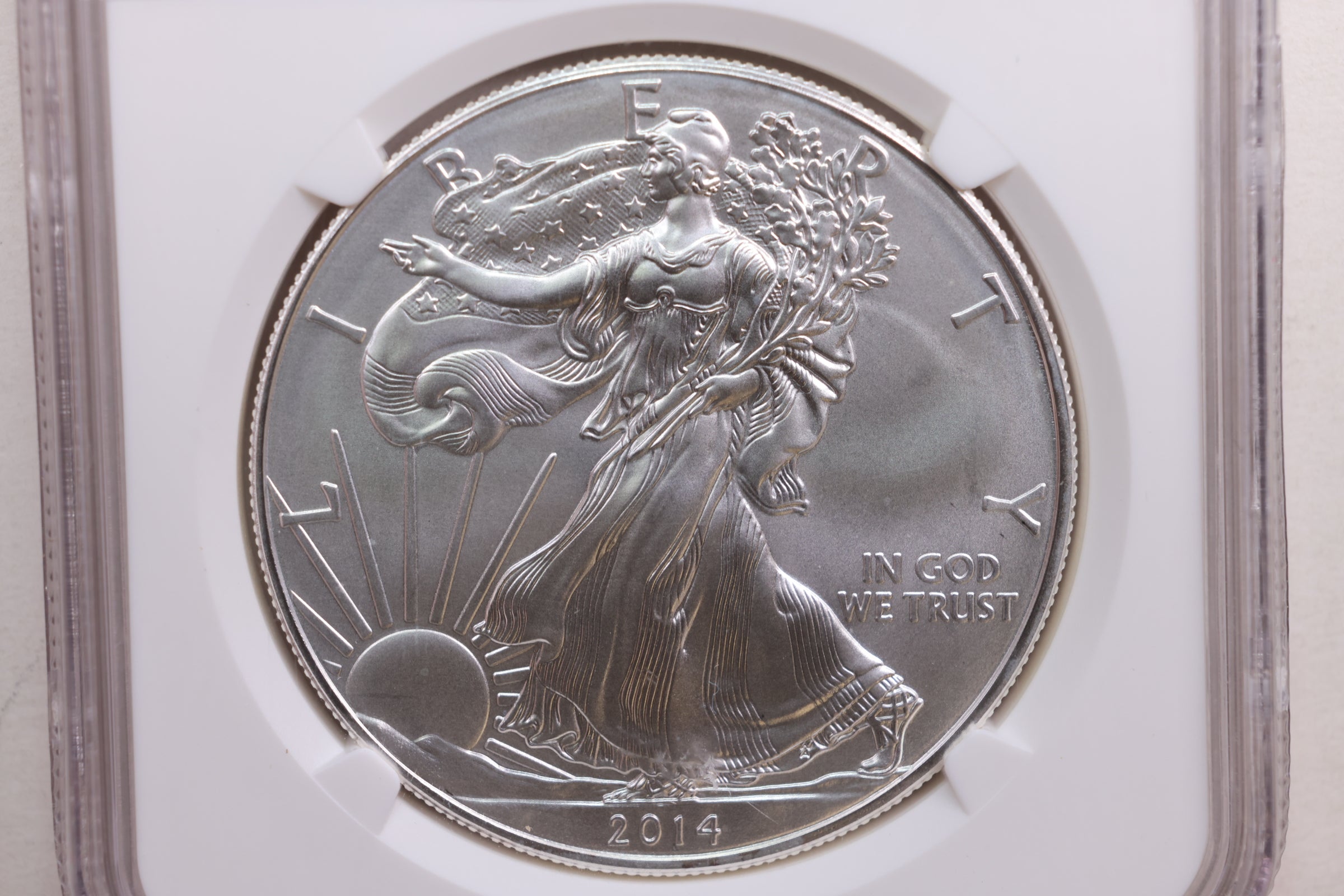 2014 American Silver Eagle, Business Strike, NGC MS-70, Store #AE0199