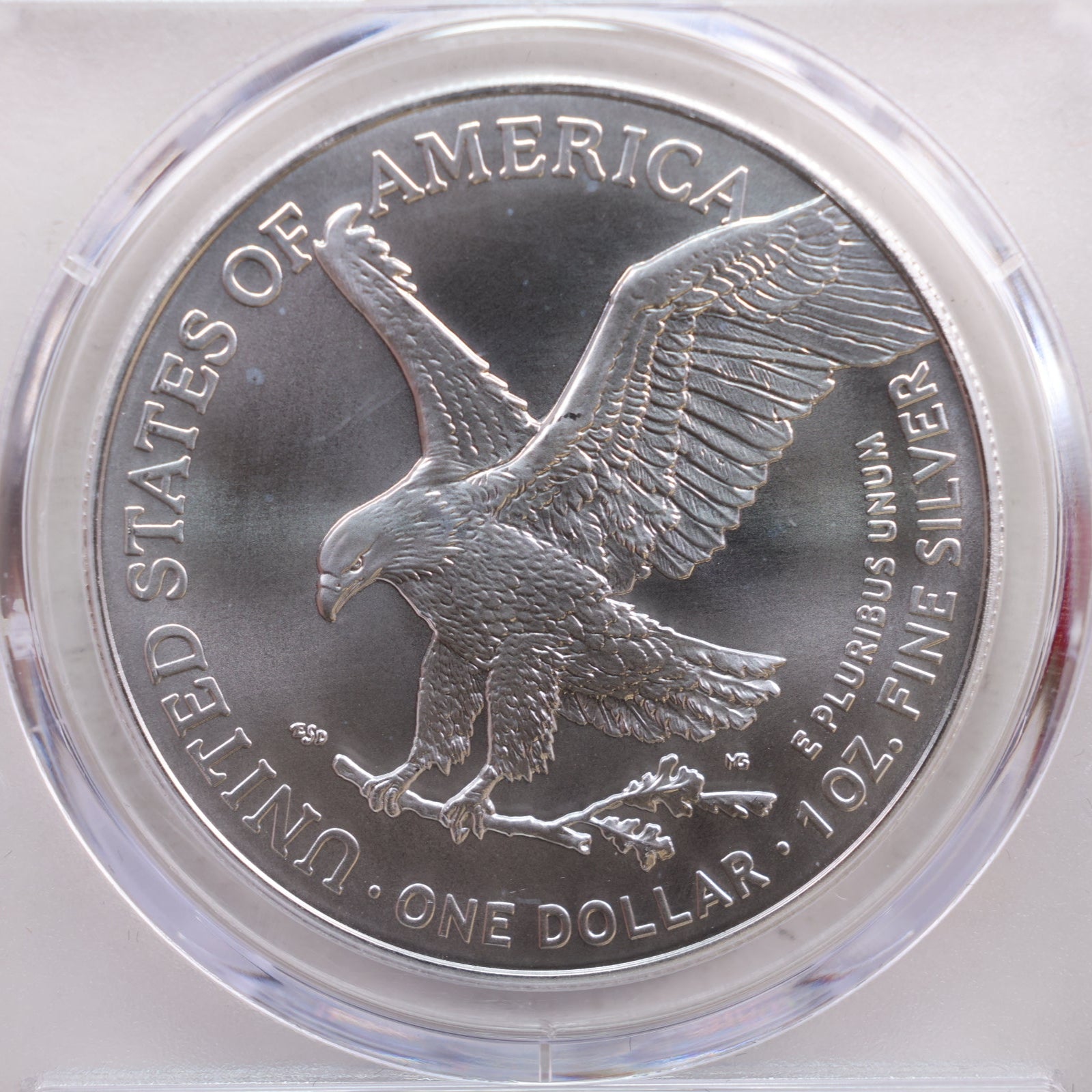 2024-(P) American Silver Eagle with Star Privy, PCGS MS69, Store# AE0233