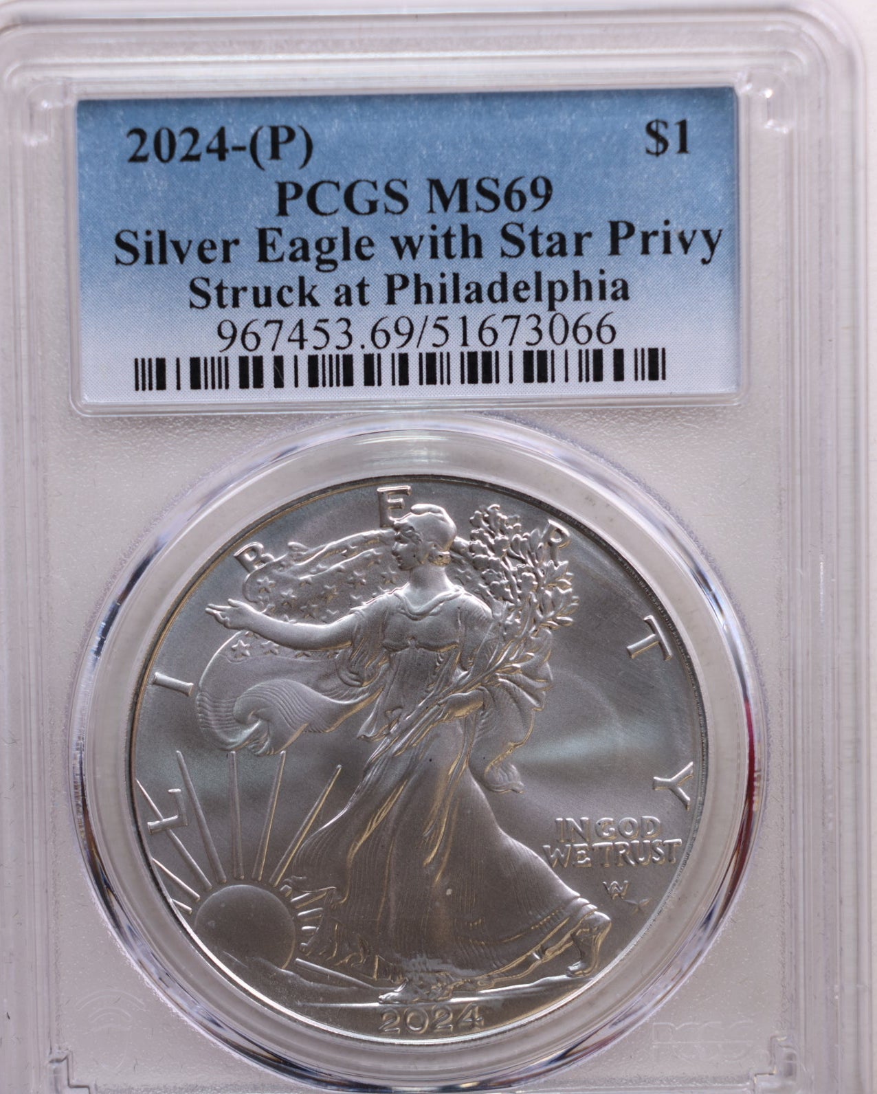 2024-(P) American Silver Eagle with Star Privy, PCGS MS69, Store# AE0233