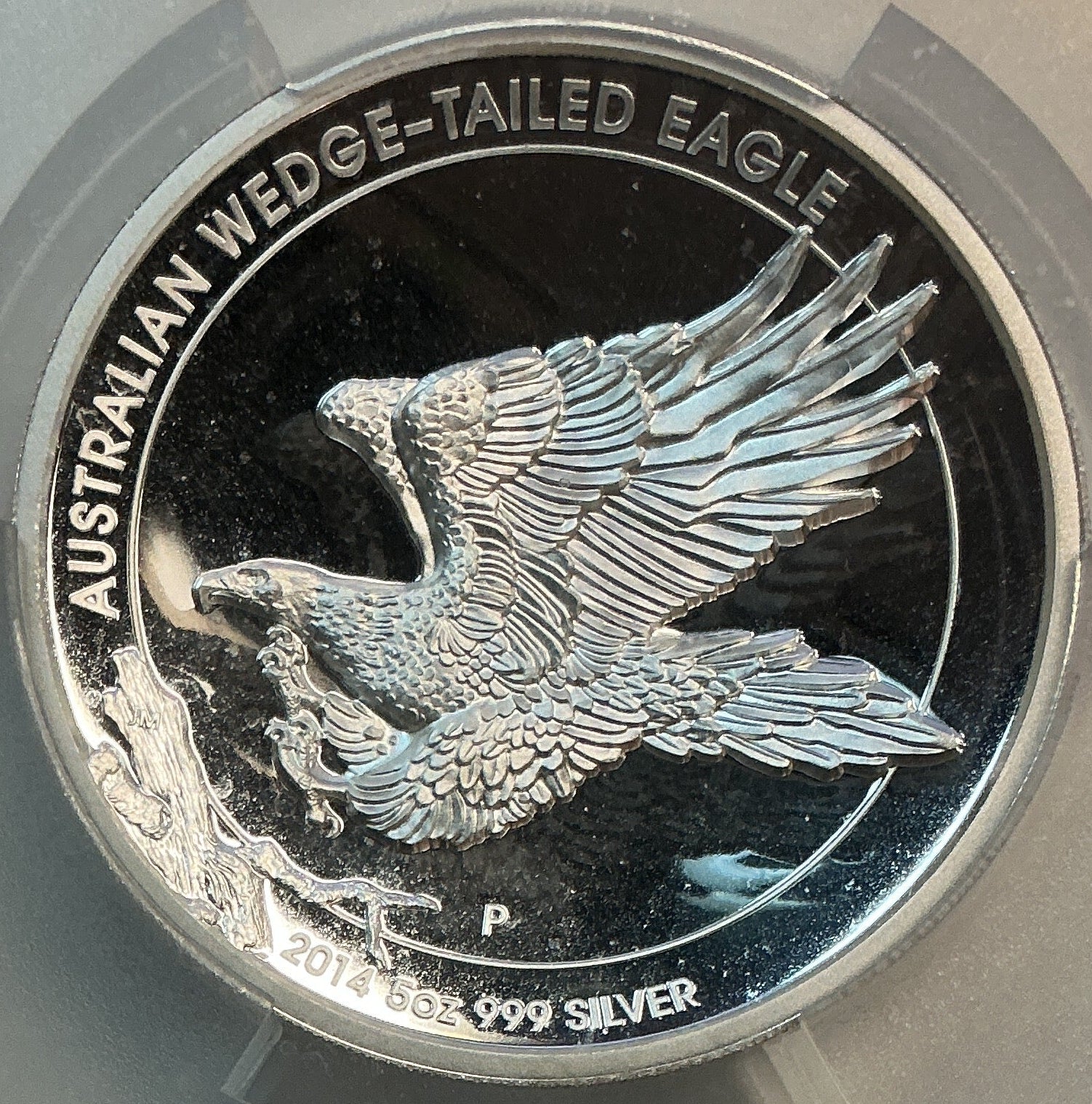 2014-P, PCGS 5-ounce PR69 DCAM Eagle High Relief Australian Wedge-Tailed Eagle #SR101