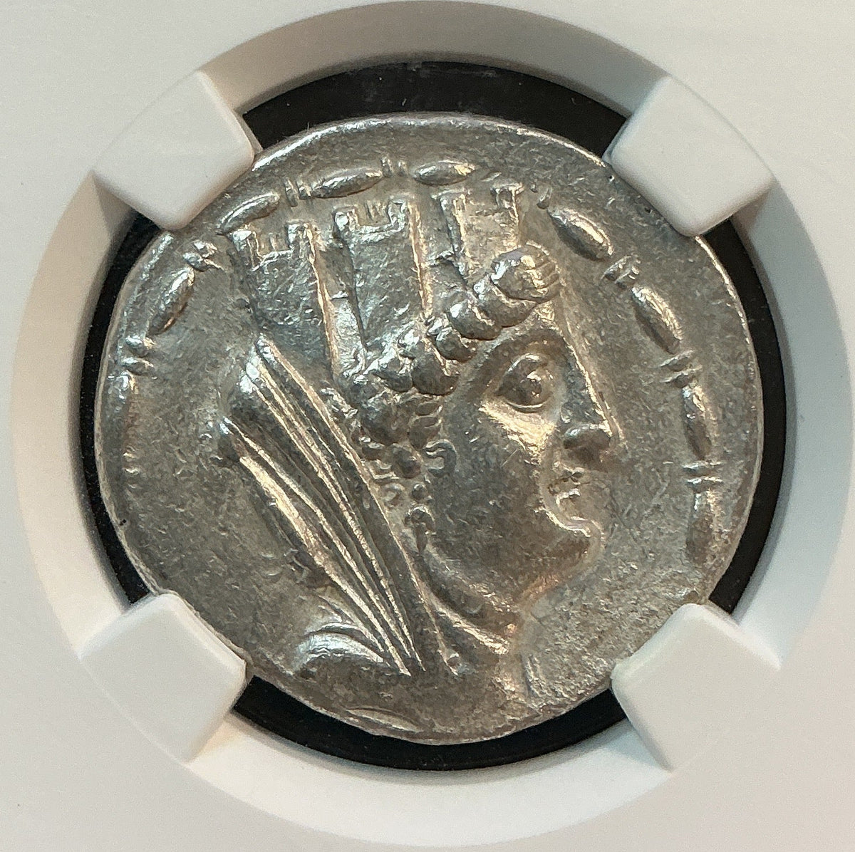 Ancient Coinage, VF, Greek Coinage, Syria, Laodicea, c.81/0-17/6 BC, Store #AT0012