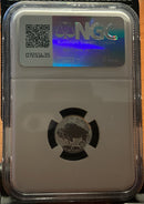 .999 silver, 1 Troy Ounce, 2023 Fractional Buffalo Set, REVERSE PF-70, Store