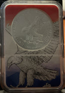 .999 Silver, 1 Troy Ounce, 2025(W) American Silver Eagle, NGC, Store