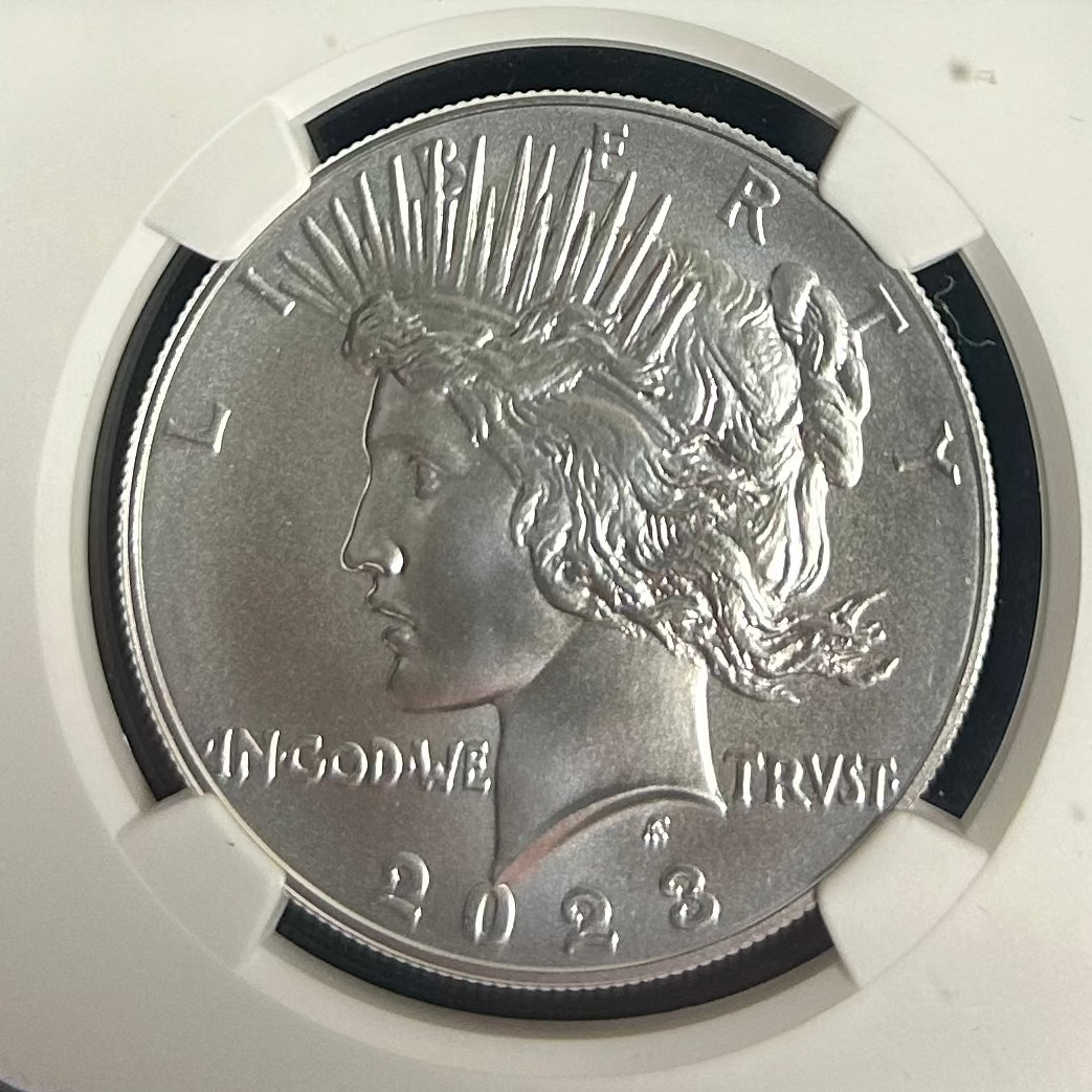 MORGAN AND PEACE DOLLAR COMMERATIVE SET, .999 silver, 6 Troy Ounce, Store #SR004