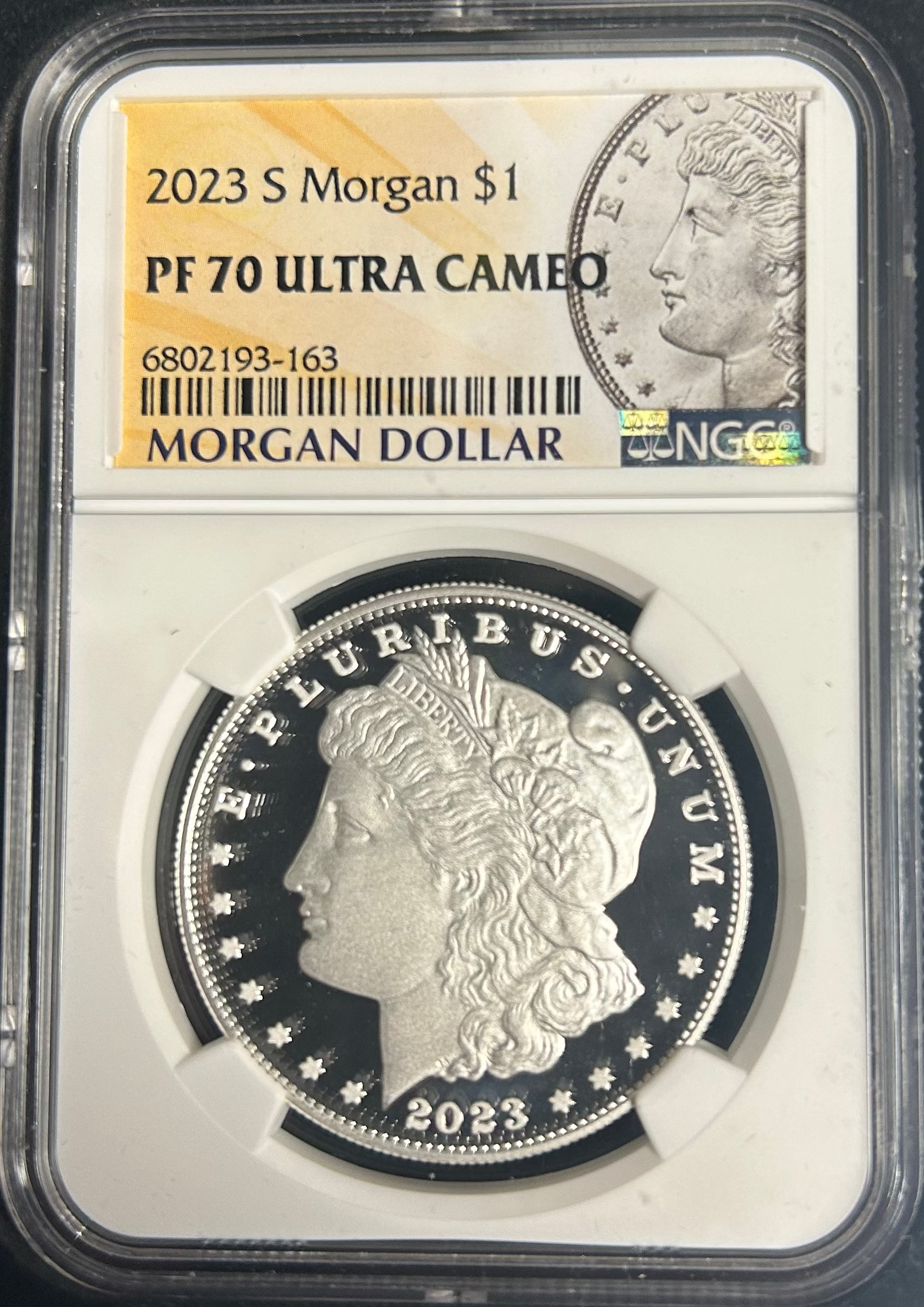 MORGAN AND PEACE DOLLAR COMMERATIVE SET, .999 silver, 6 Troy Ounce, Store #SR004