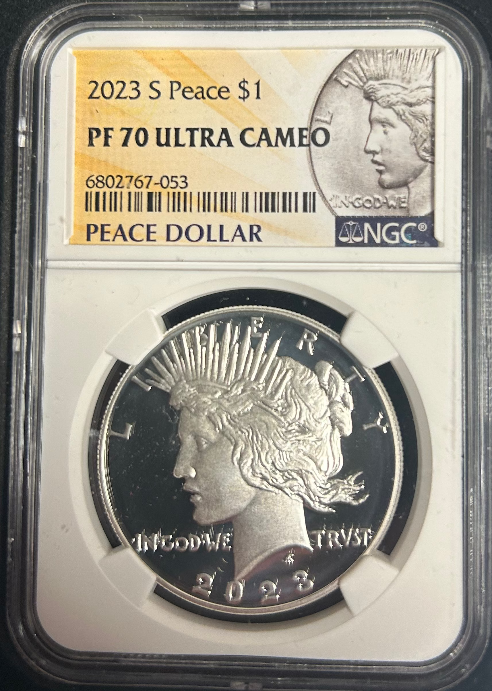 MORGAN AND PEACE DOLLAR COMMERATIVE SET, .999 silver, 6 Troy Ounce, Store #SR004