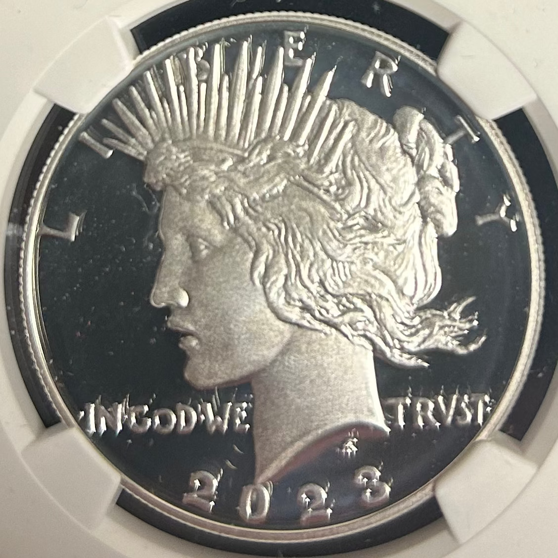 MORGAN AND PEACE DOLLAR COMMERATIVE SET, .999 silver, 6 Troy Ounce, Store #SR004