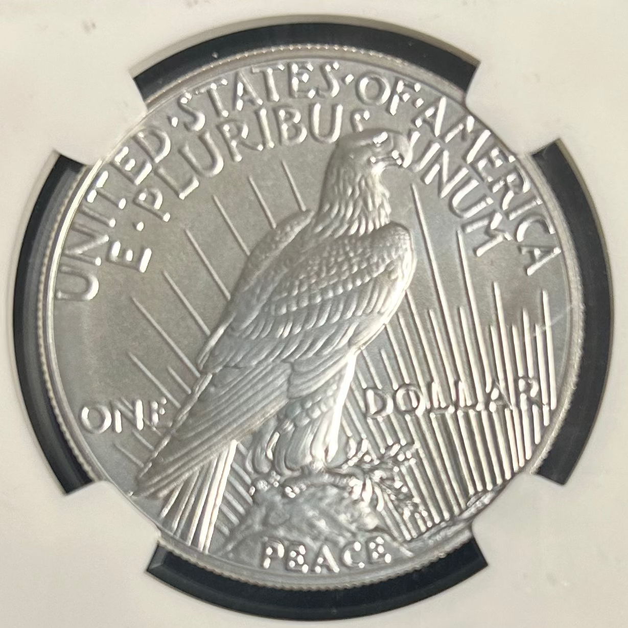 MORGAN AND PEACE DOLLAR COMMERATIVE SET, .999 silver, 6 Troy Ounce, Store #SR004