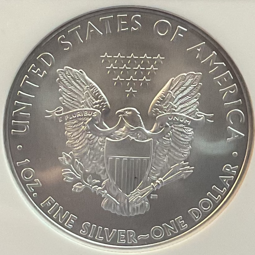 2008 American Silver Eagle, Early Releases, NGC MS-69, Store#AE0286
