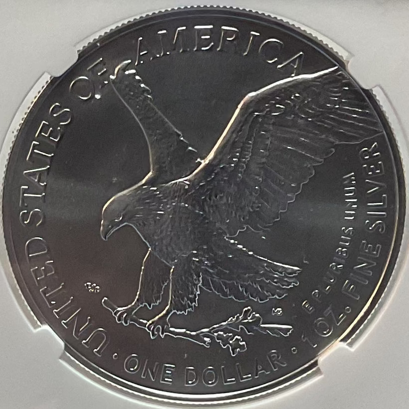 2023 W American Silver Eagle, Early Releases, NGC MS-69, Store#AE0288