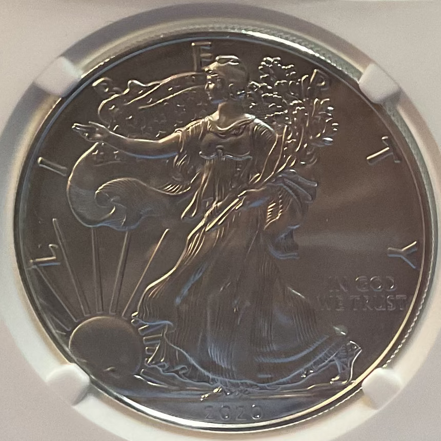 2020 W Burnished American Silver Eagle, NGC MS-69, Store#AE0291