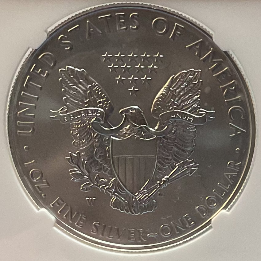 2020 W Burnished American Silver Eagle, NGC MS-69, Store#AE0291