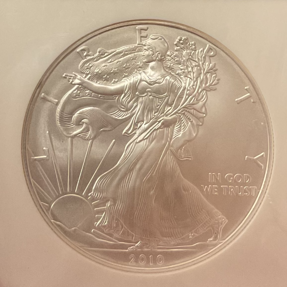 2010 American Silver Eagle, NGC MS-69, Store#AE0398