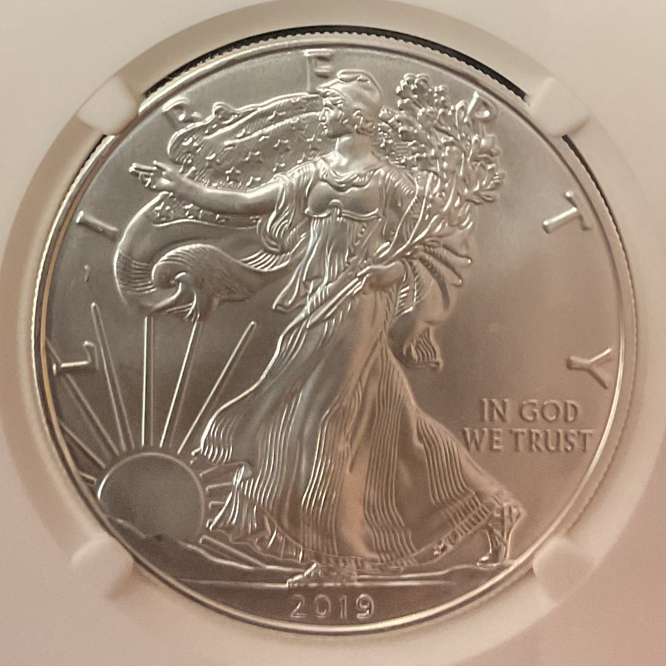 2019 American Silver Eagle, NGC MS-69, Store#AE0403