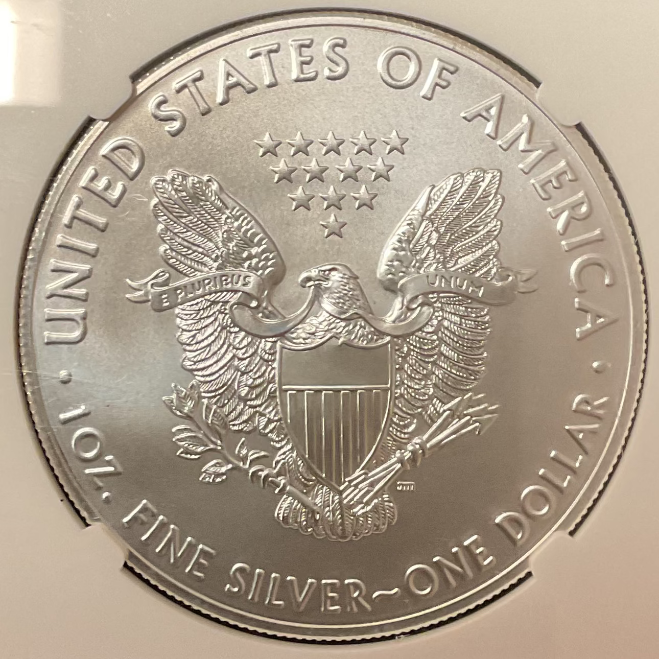 2019 American Silver Eagle, NGC MS-69, Store#AE0403
