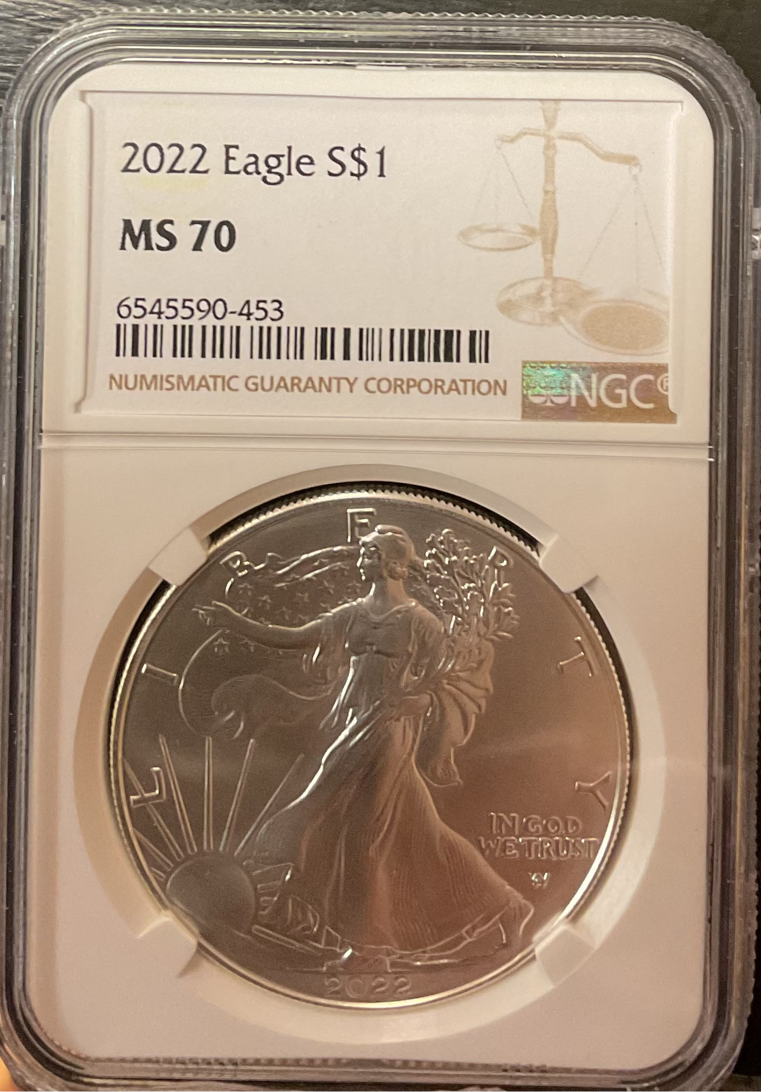2022 American Silver Eagle, NGC MS-70, Store#AE0409