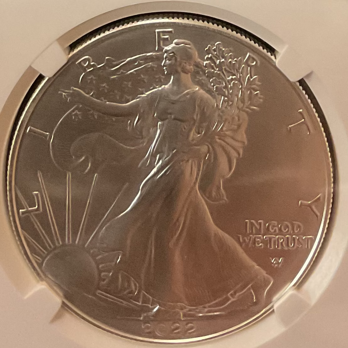 2022 American Silver Eagle, NGC MS-70, Store#AE0409