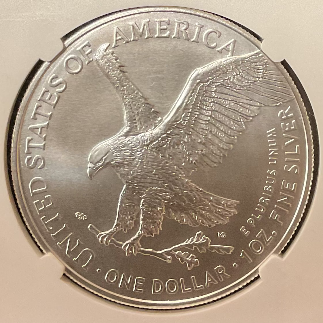 2022 American Silver Eagle, NGC MS-70, Store#AE0409