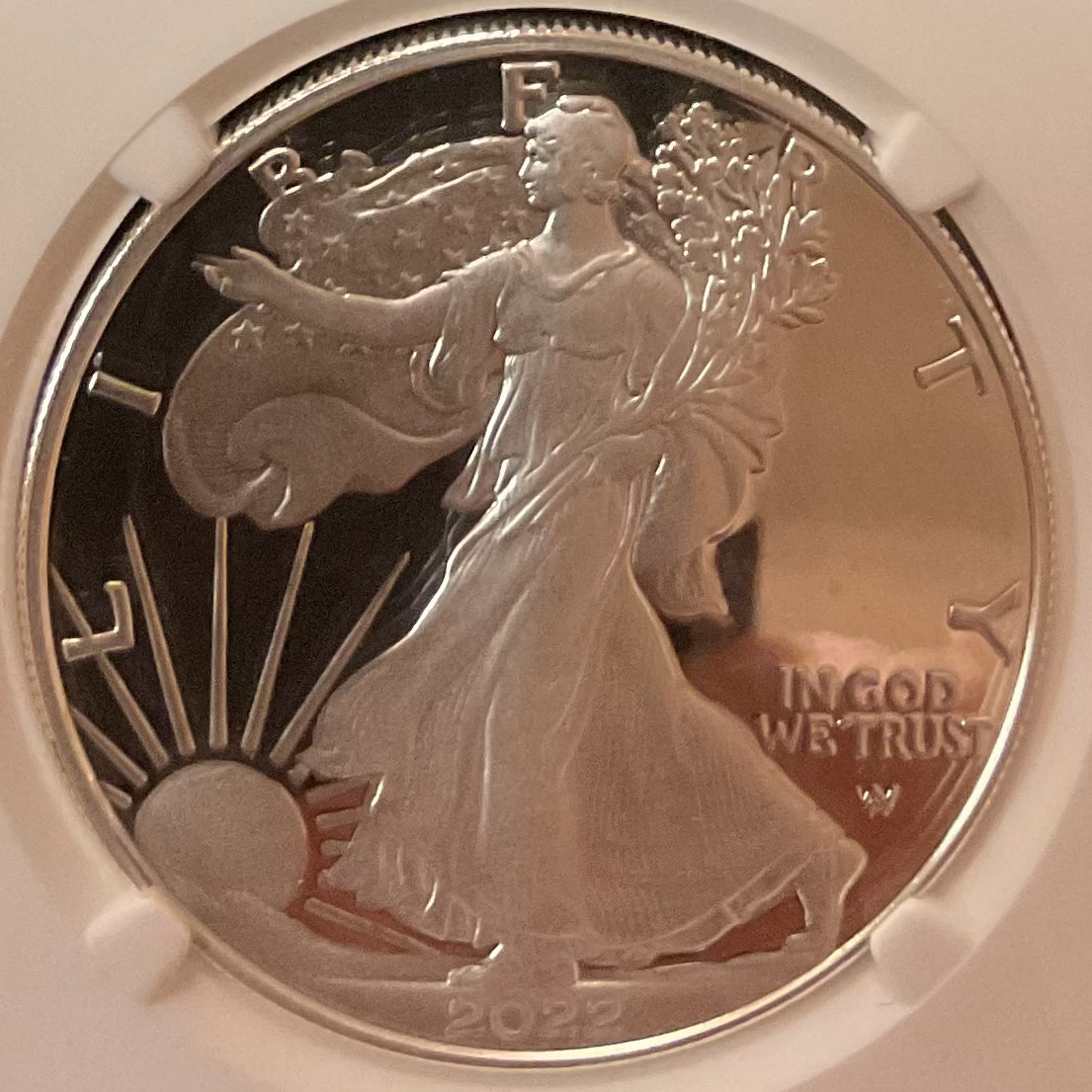 2022-S American Silver Eagle, NGC PR-69 Ultra Cameo, Store#AE0410