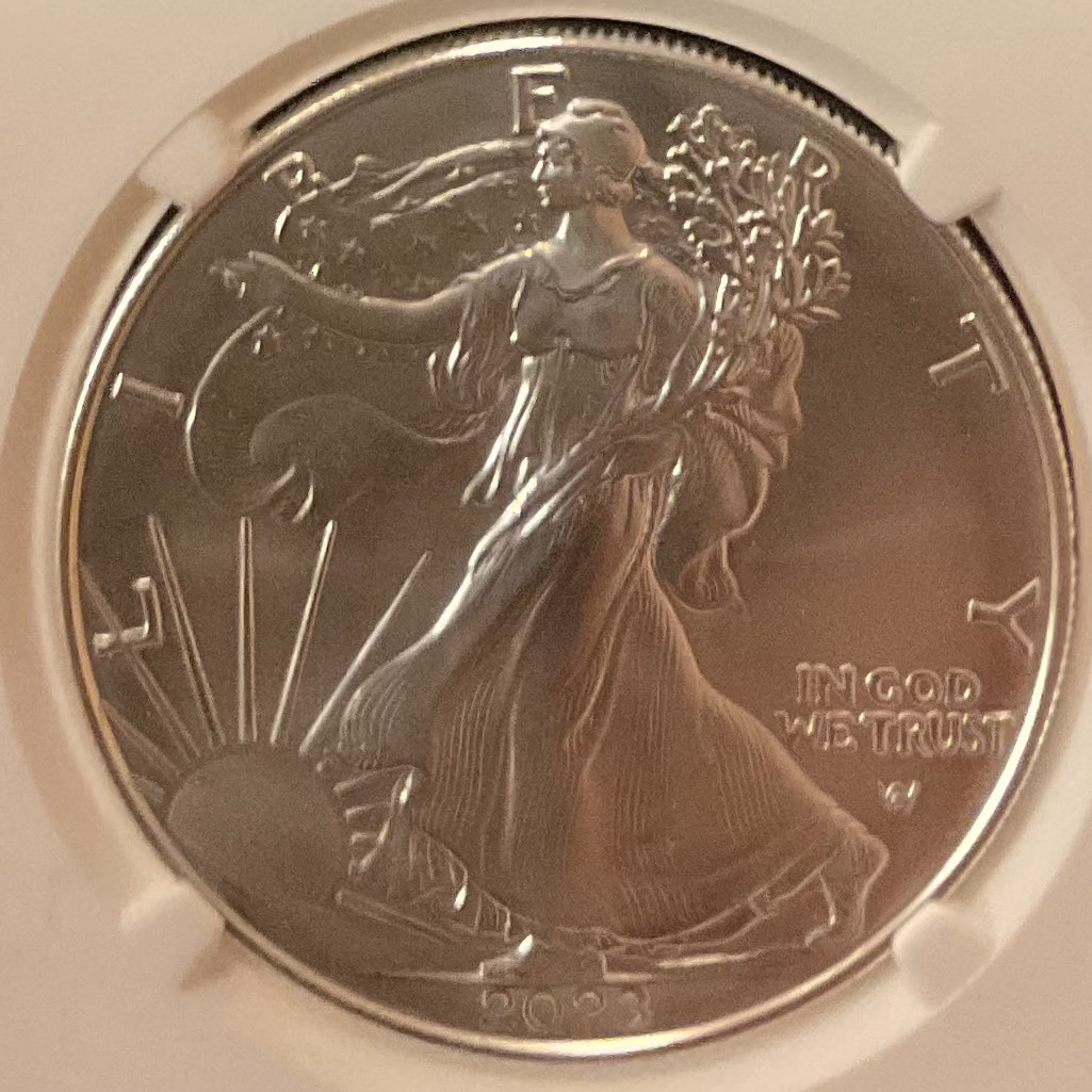2023-W Burnished American Silver Eagle, NGC MS-70, Store#AE0411