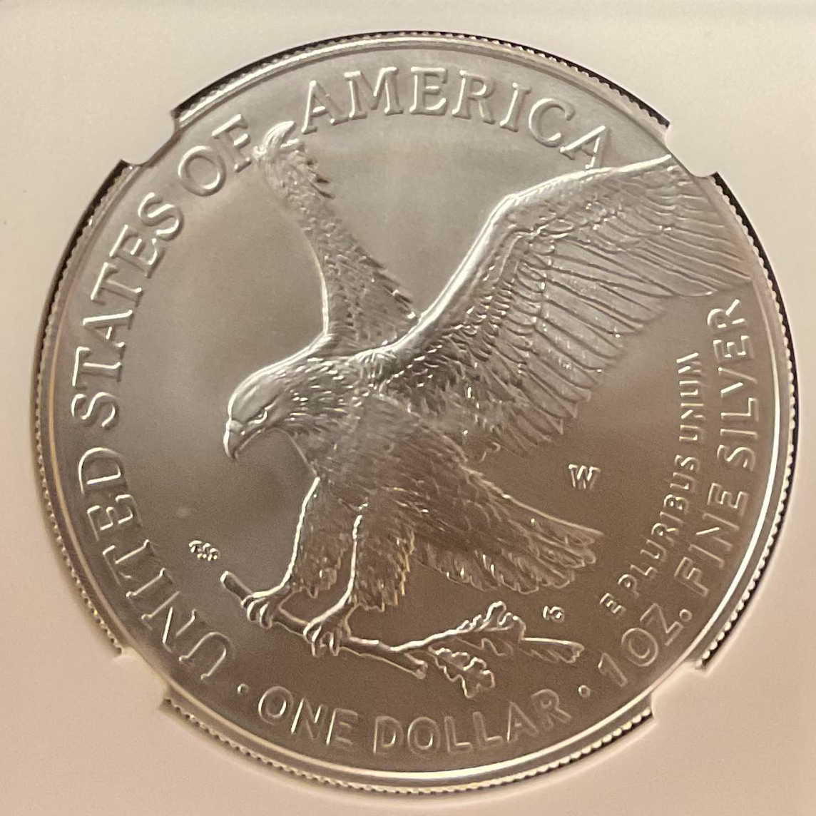 2023-W Burnished American Silver Eagle, NGC MS-70, Store#AE0411