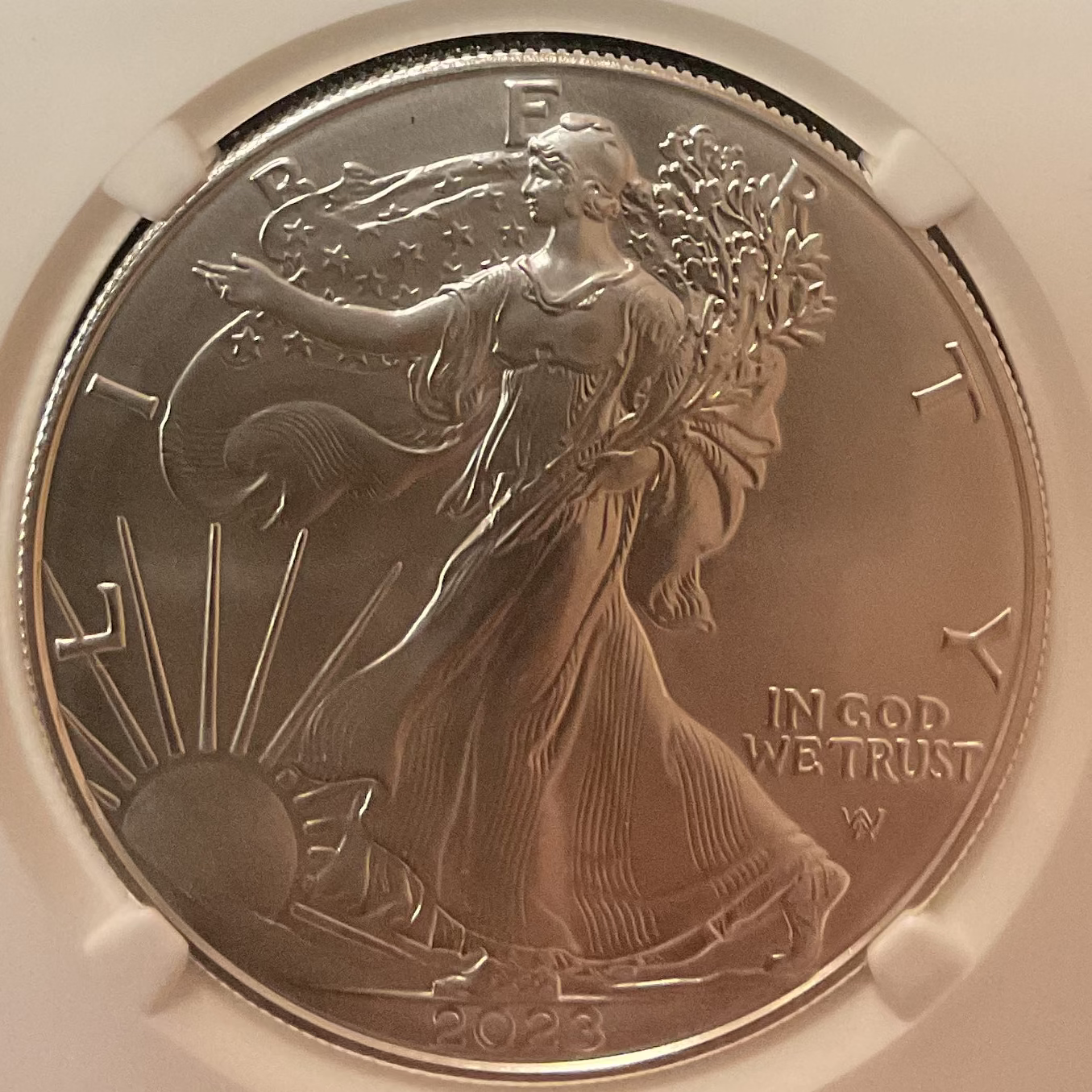 2023-W Burnished American Silver Eagle, NGC MS-70, Store#AE0412