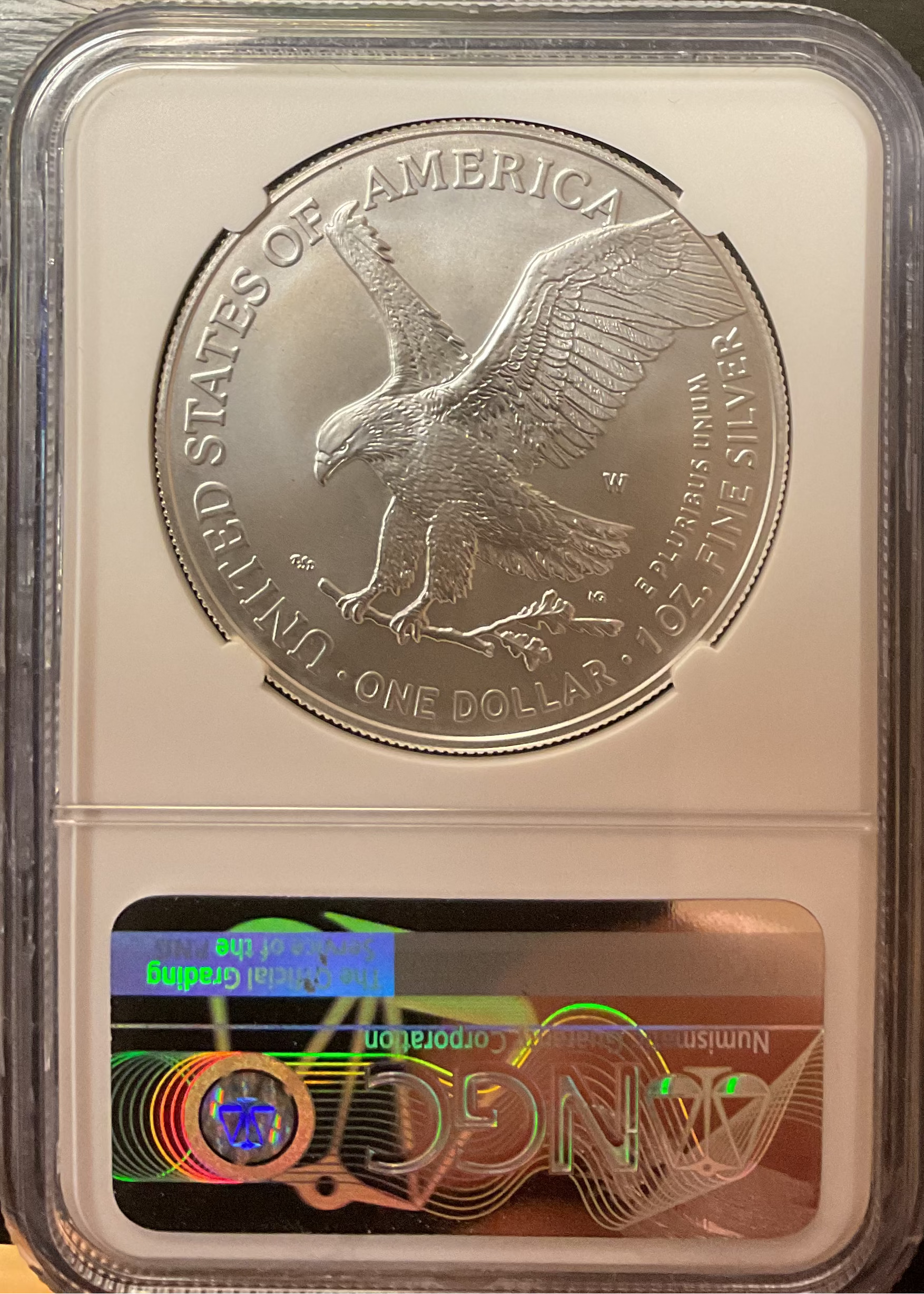 2023-W Burnished American Silver Eagle, NGC MS-70, Store#AE0412