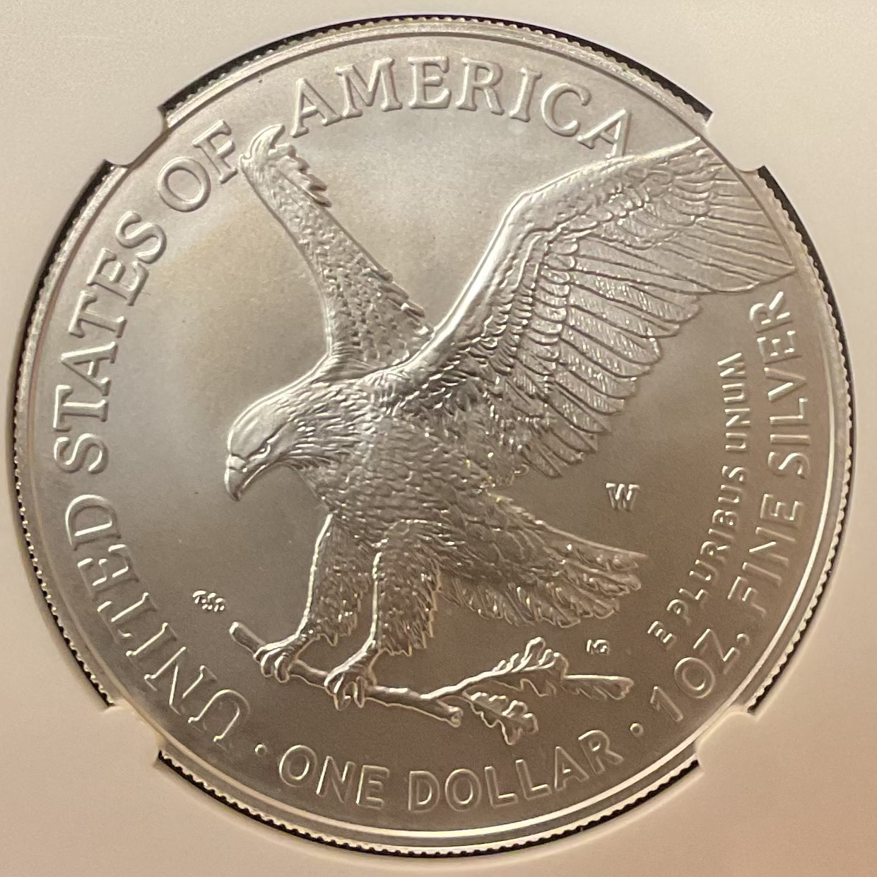 2023-W Burnished American Silver Eagle, NGC MS-70, Store#AE0412