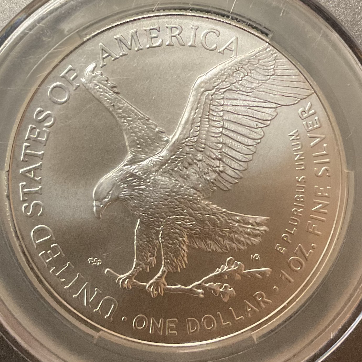 2024 American Silver Eagle, CAC MS-70, Store#AE0413