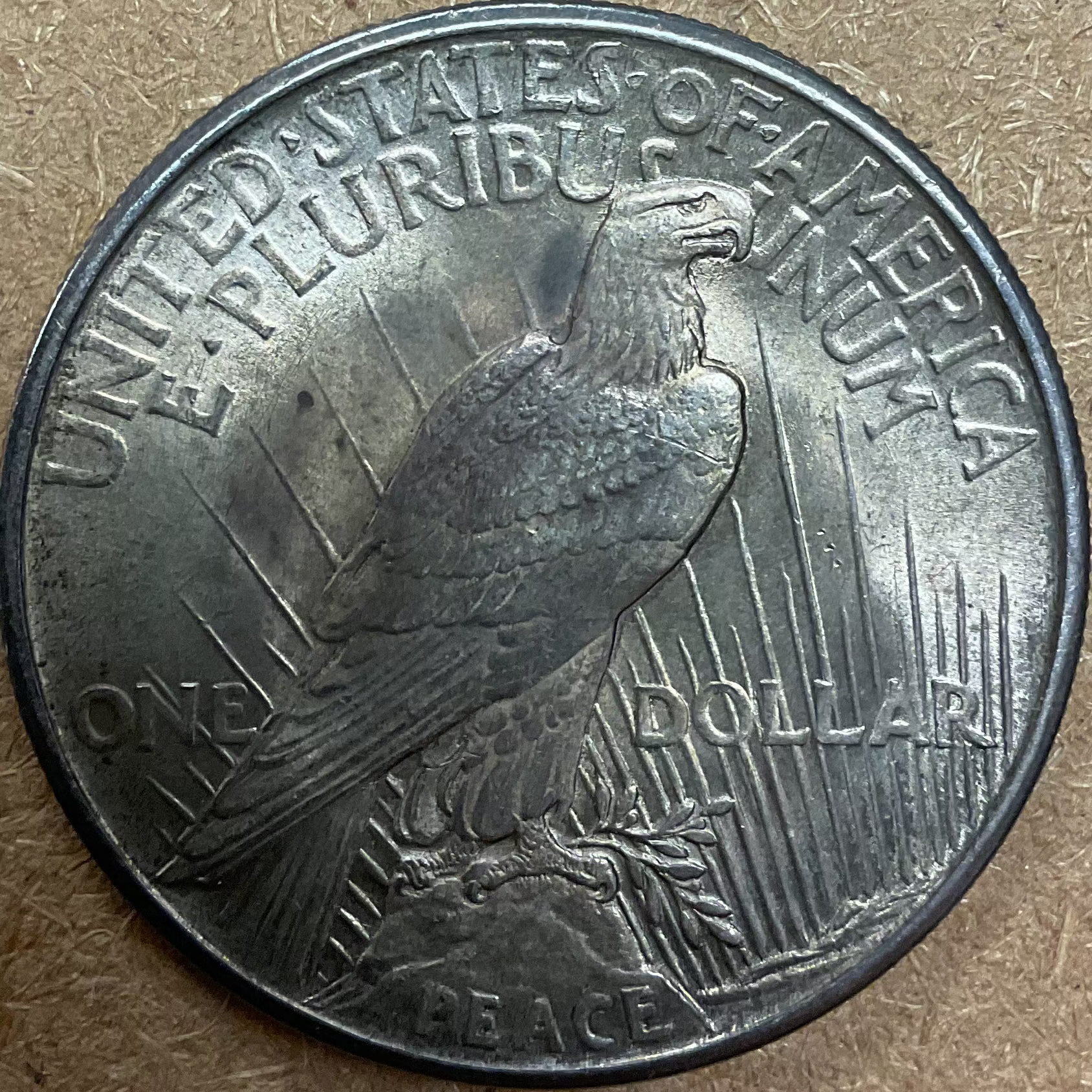 1921 Peace Dollar, Mint State Uncirculated Coin, Store #DR0994