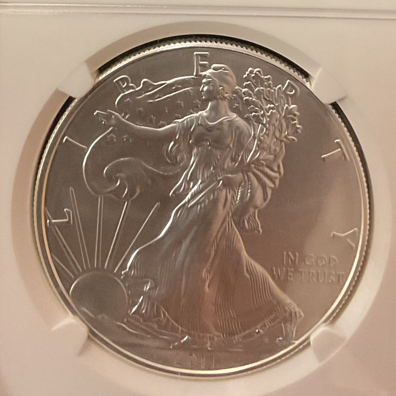 2011 American Silver Eagle Set, Business Strike, NGC MS70 & PF70 Ultra Cam, Store #AE0125