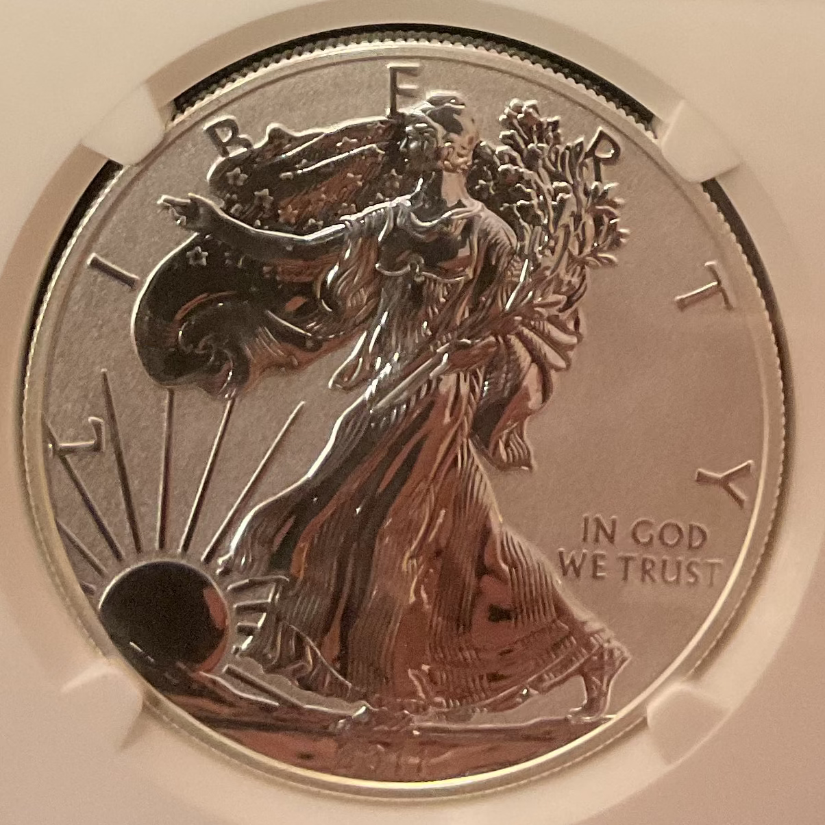2011 American Silver Eagle Set, Business Strike, NGC MS70 & PF70 Ultra Cam, Store #AE0125