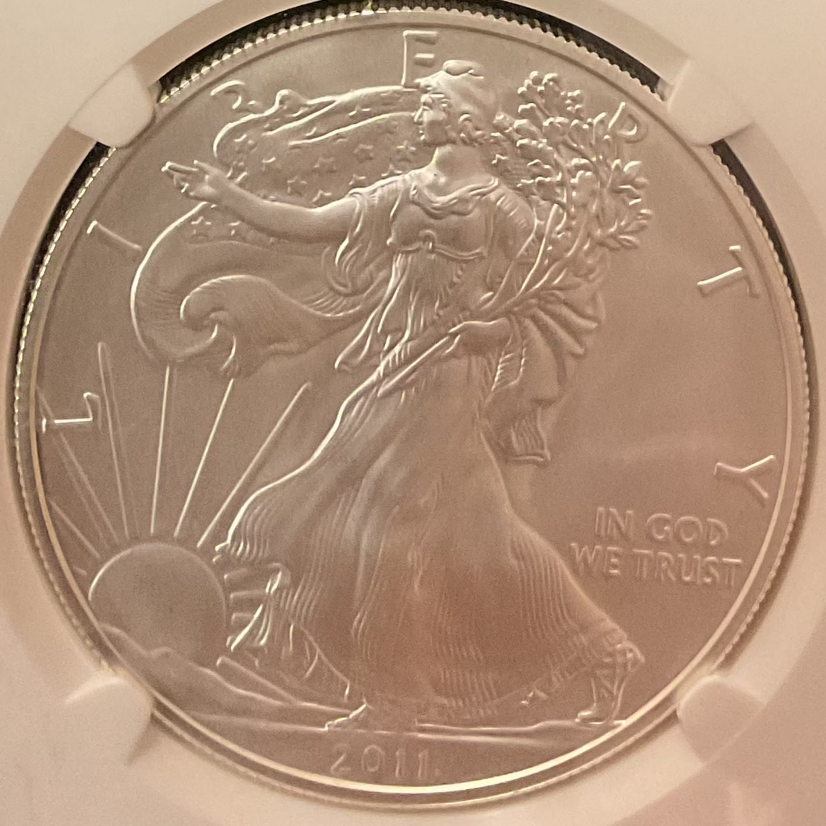 2011 American Silver Eagle Set, Business Strike, NGC MS70 & PF70 Ultra Cam, Store #AE0125